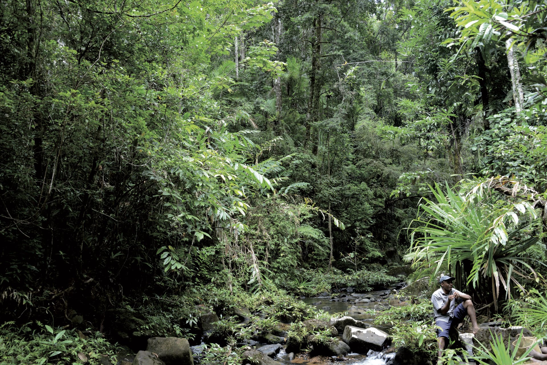 IOZ_MAD_008_20140709_DTT