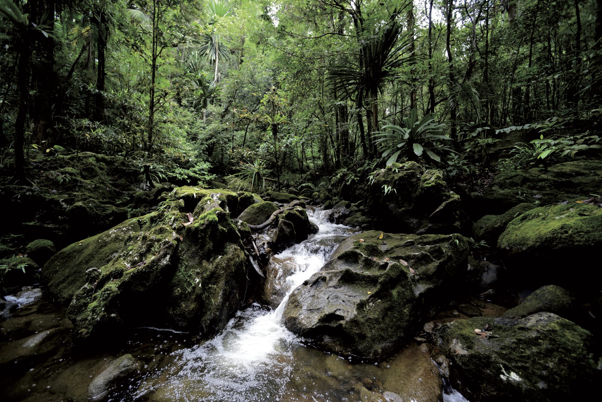 IOZ_MAD_009_20140709_DTT