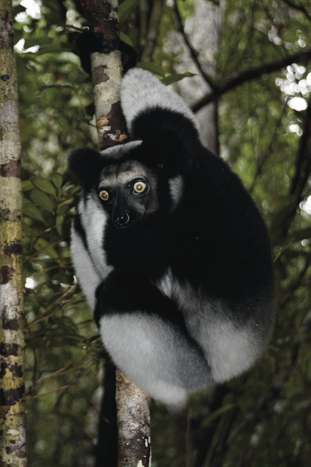 IOZ_MAD_011_20130412_ss