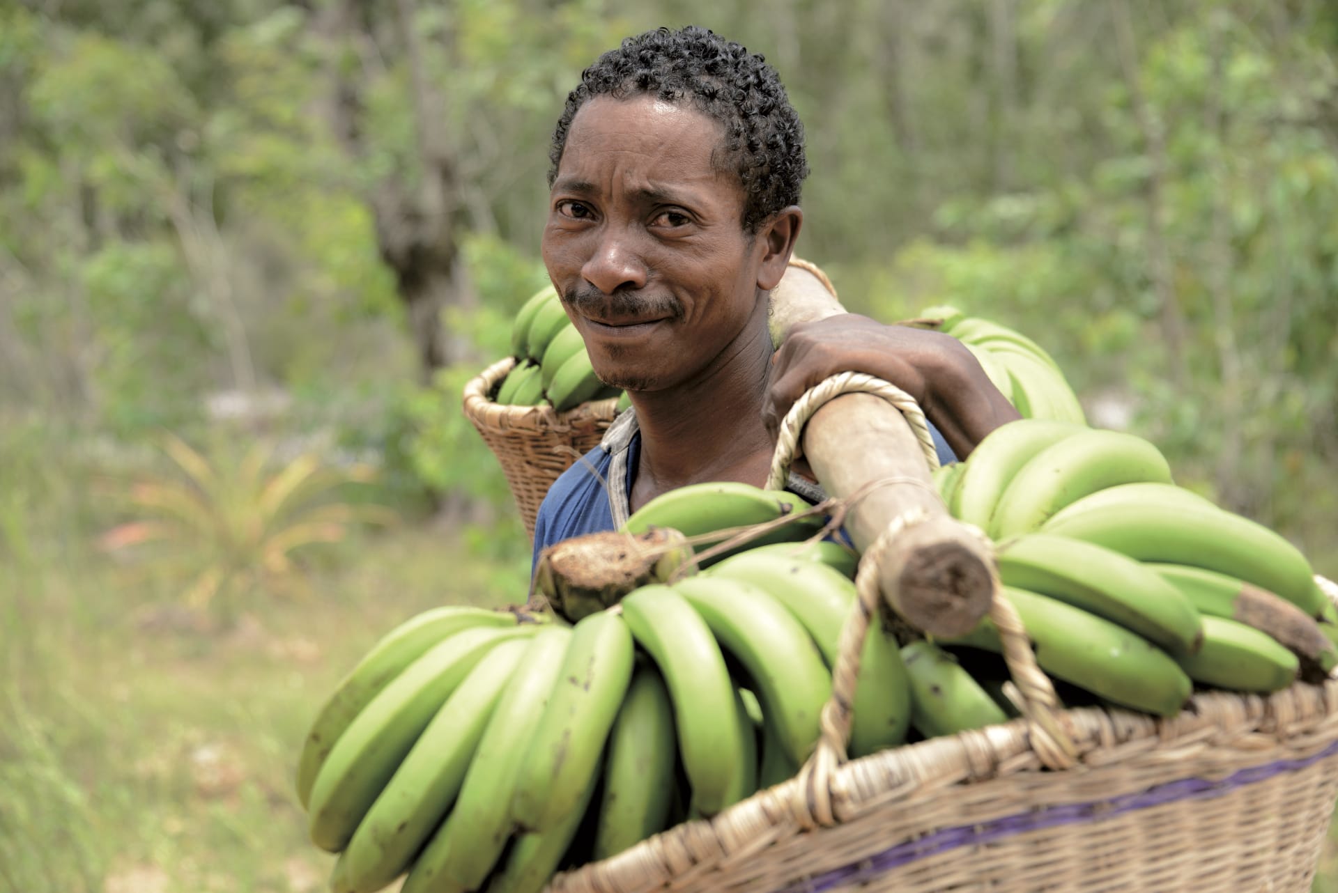 IOZ_MAD_012_20140709_DTT