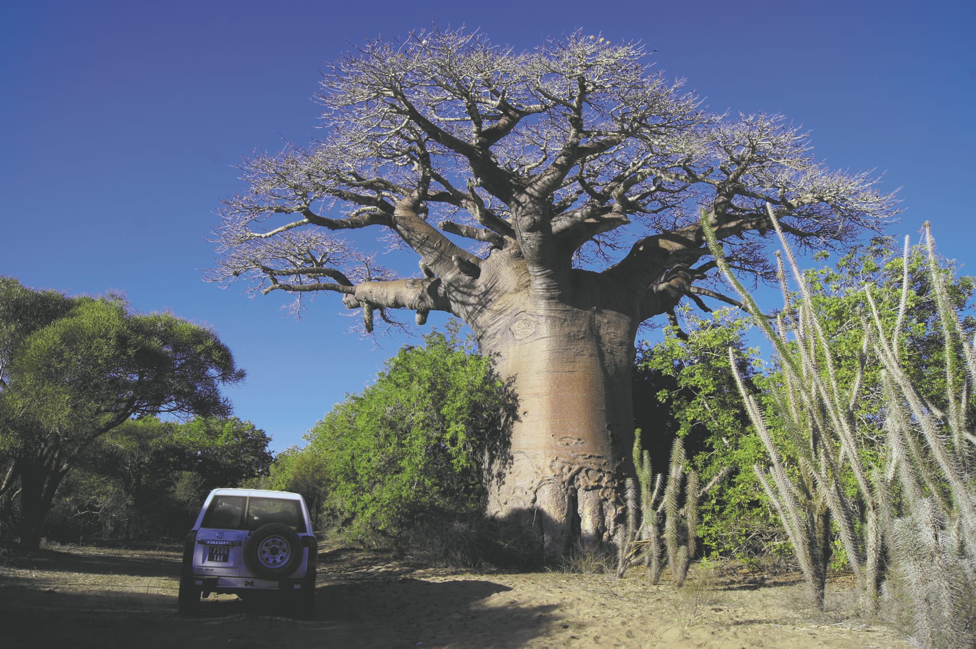 IOZ_MAD_014_20170718_DTT