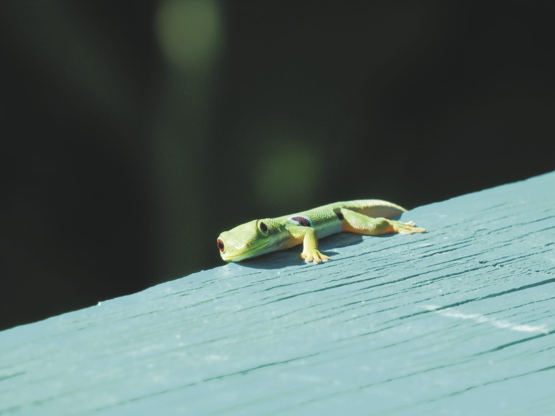 IOZ_MAD_20190613_HB_11