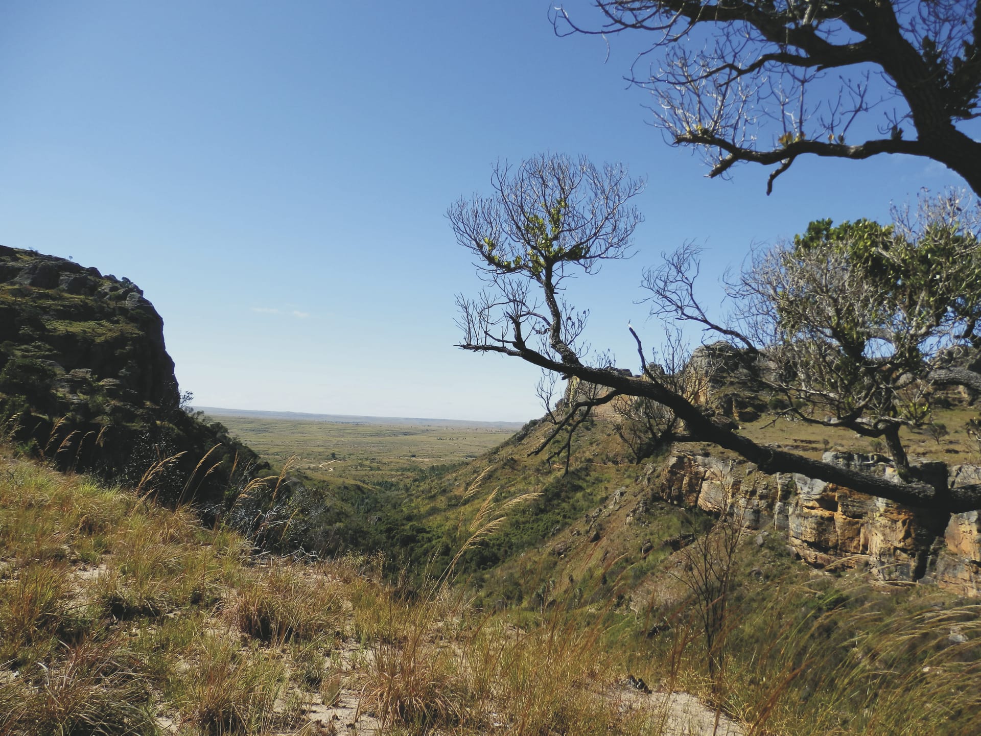 IOZ_MAD_20190613_HB_12