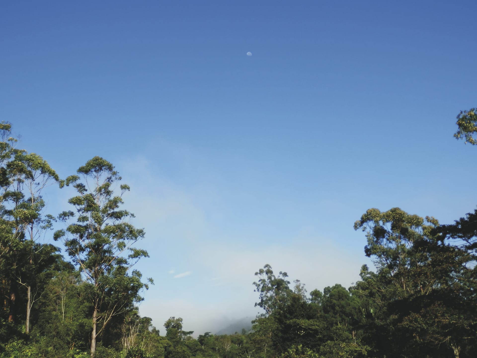 IOZ_MAD_20190613_HB_16