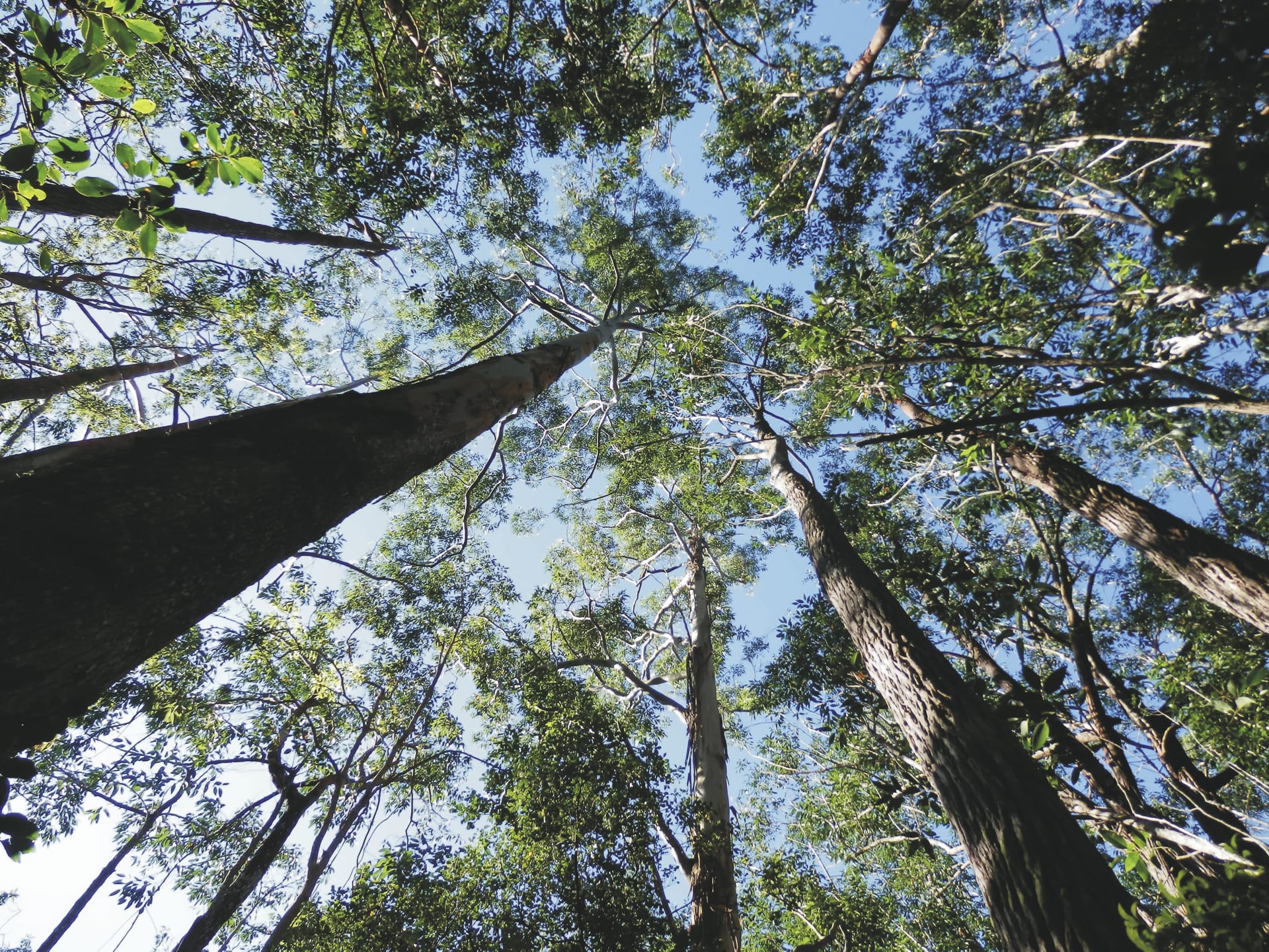 IOZ_MAD_20190613_HB_17