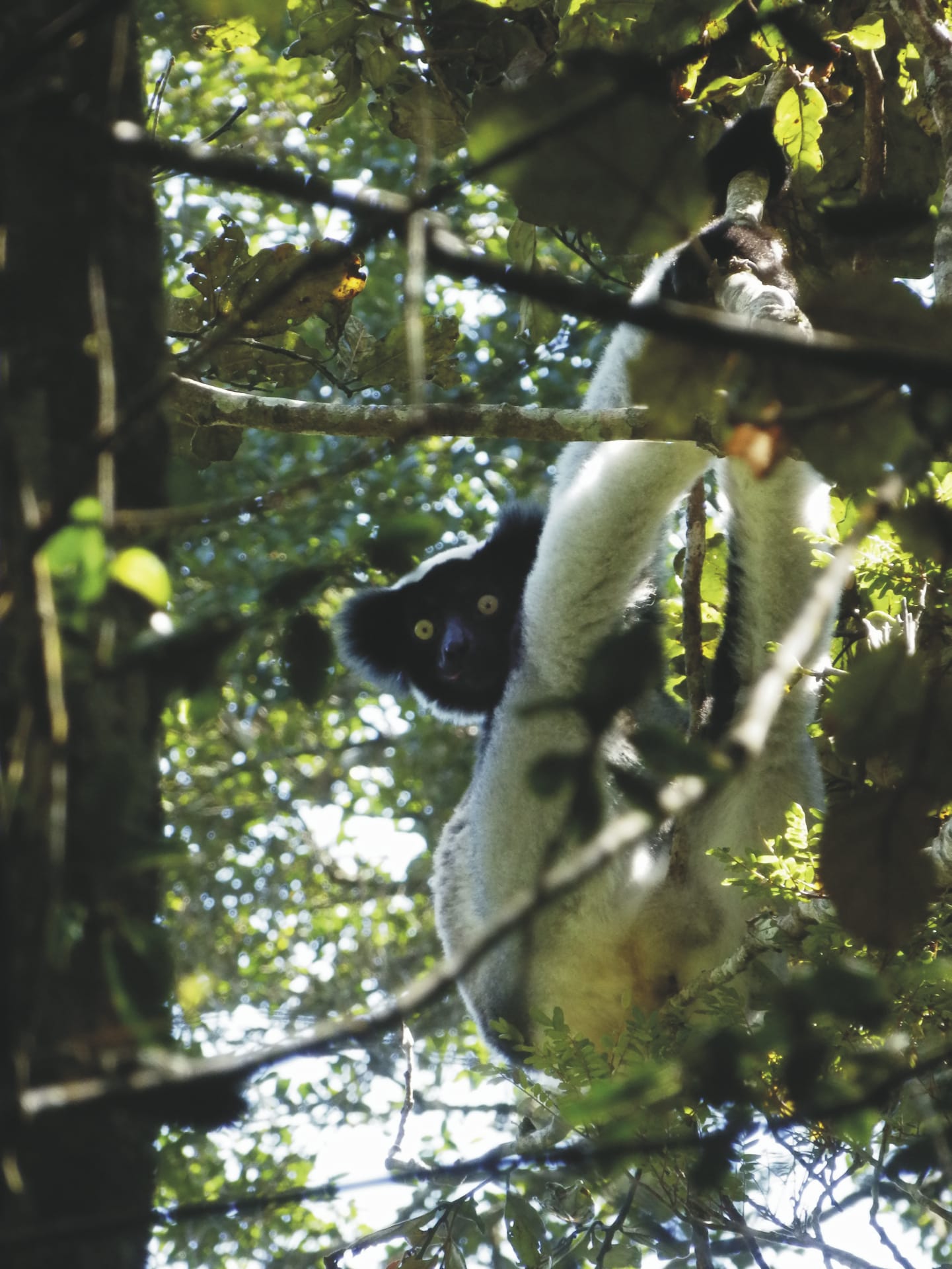 IOZ_MAD_20190613_HB_18