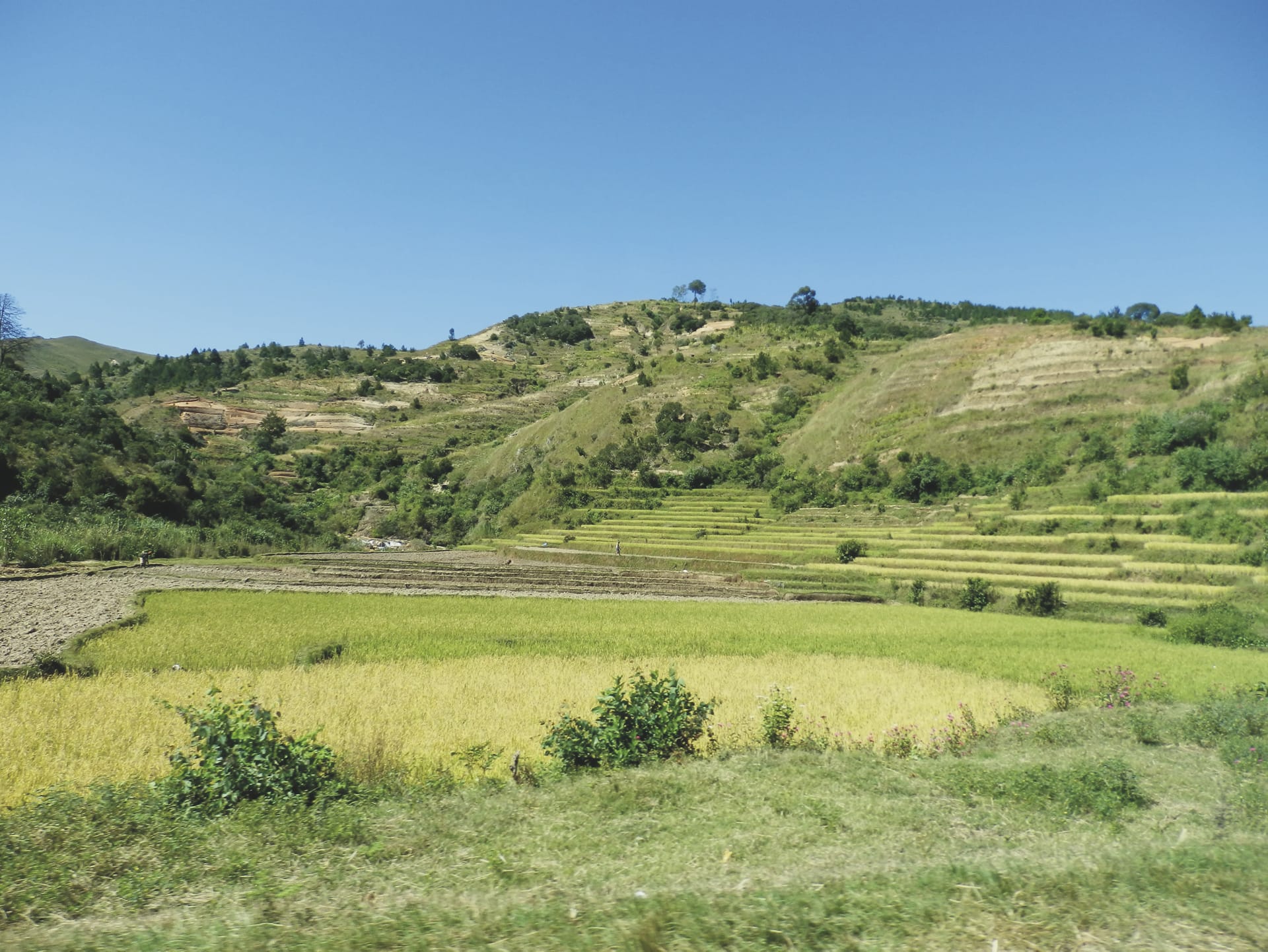 IOZ_MAD_20190613_HB_9