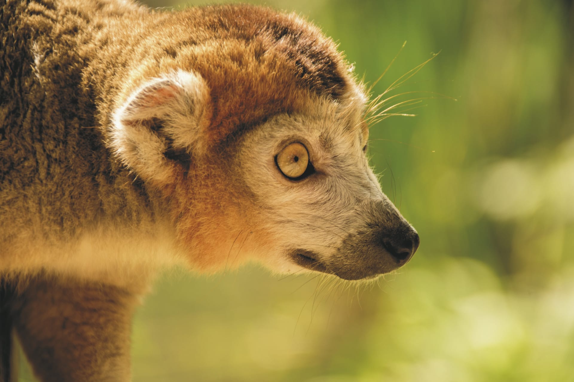 IOZ_MAD_20190715_HB_2