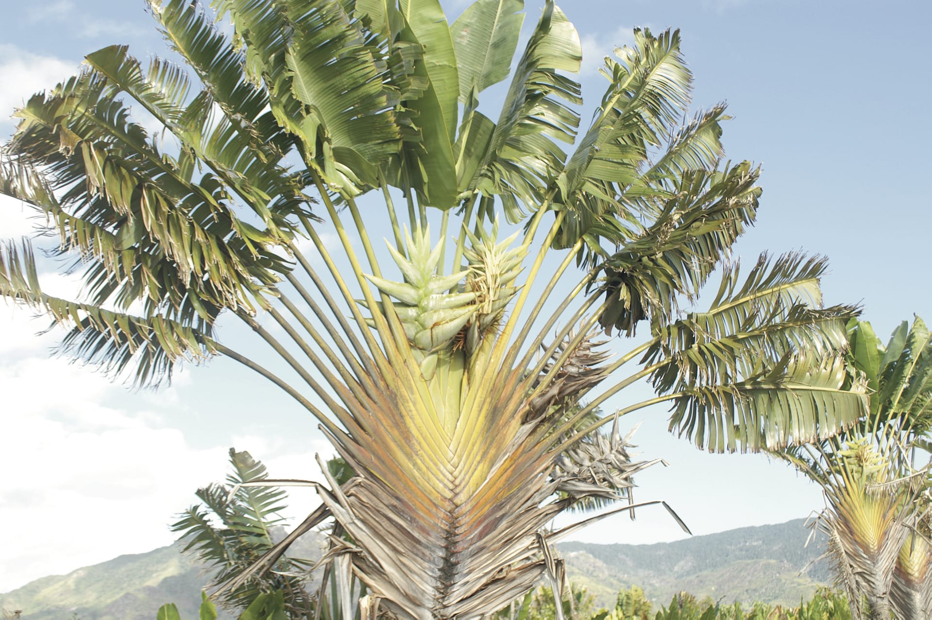 IOZ_MAD_269_20080229_MM