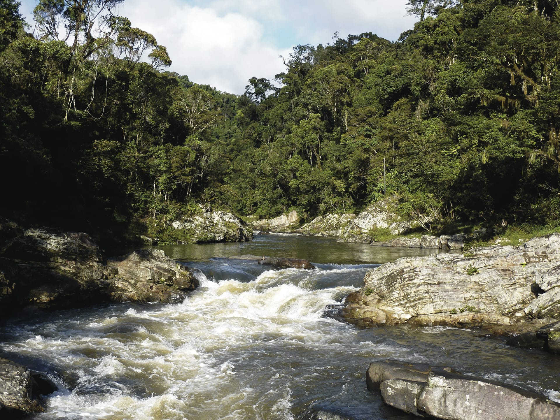 IOZ_MAD_340_20110919_ss