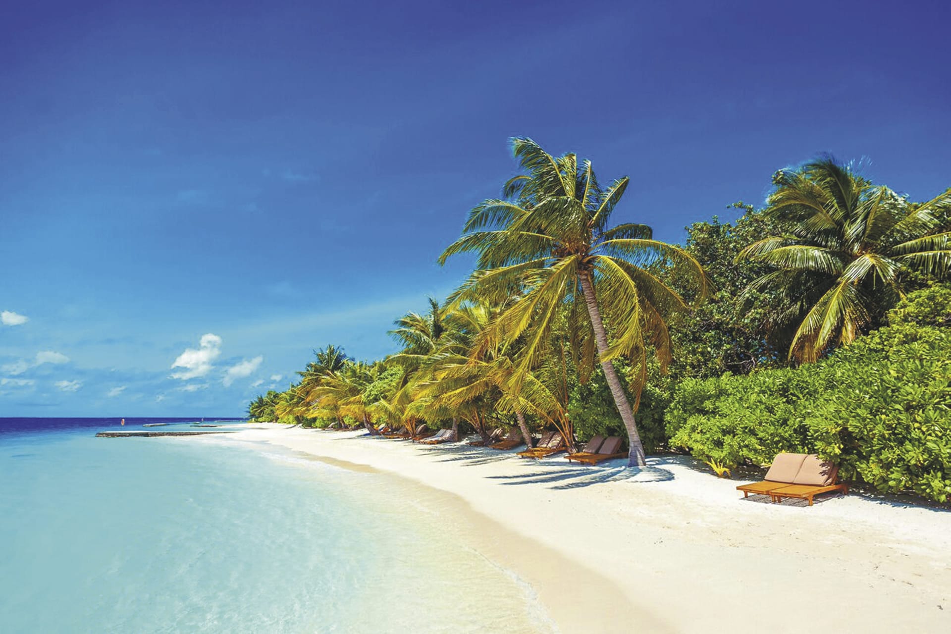 IOZ_MAL_20210222_OL_45