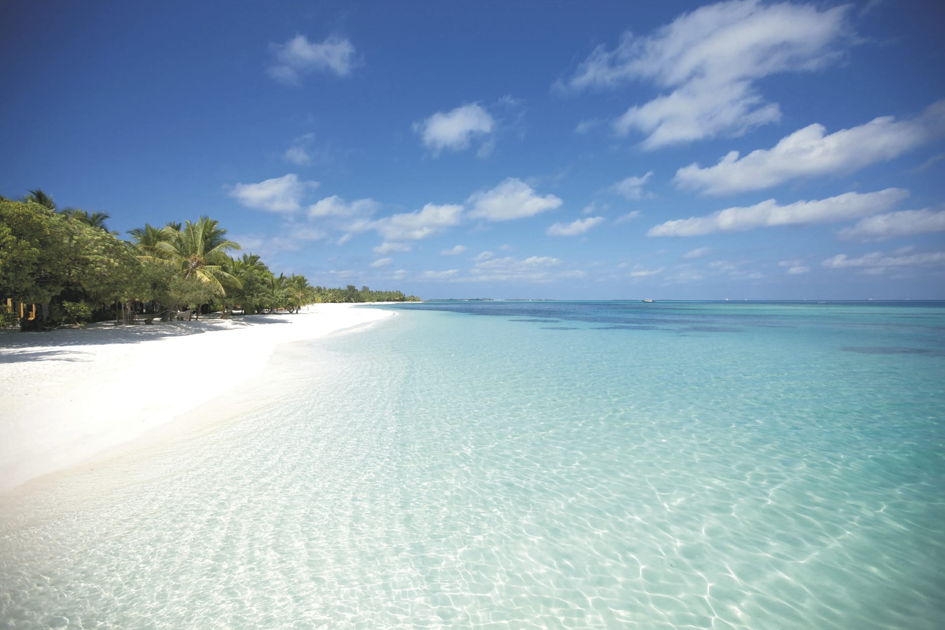 IOZ_MAL_20210311_OL_20