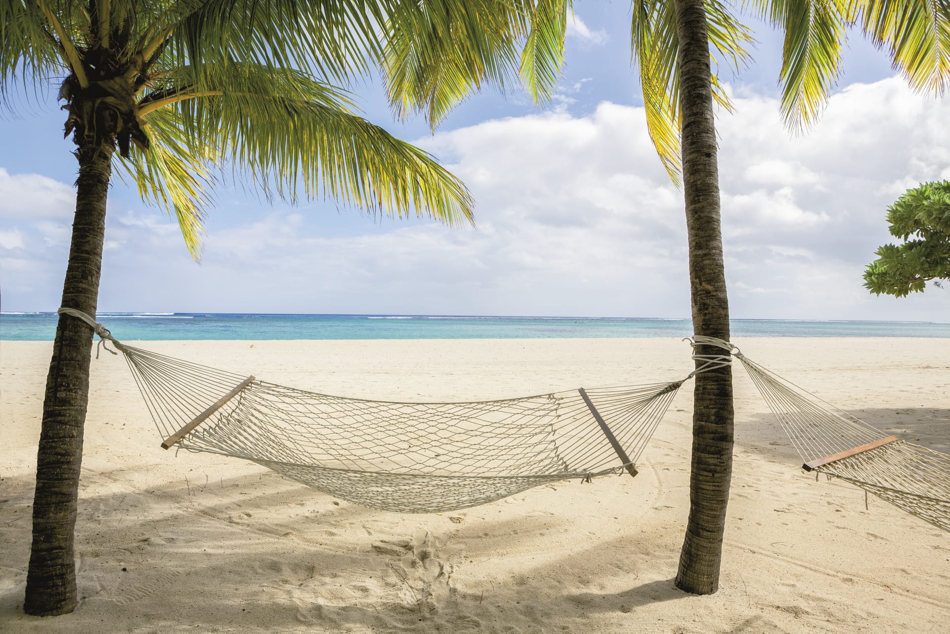 IOZ_MAU_196_20180225_OL