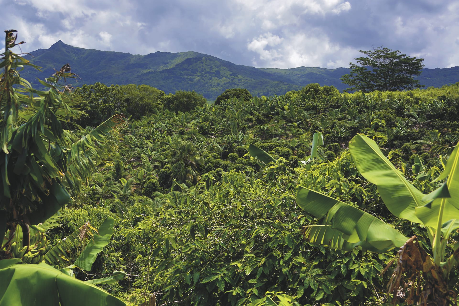 IOZ_MAU_20180724_OL_24