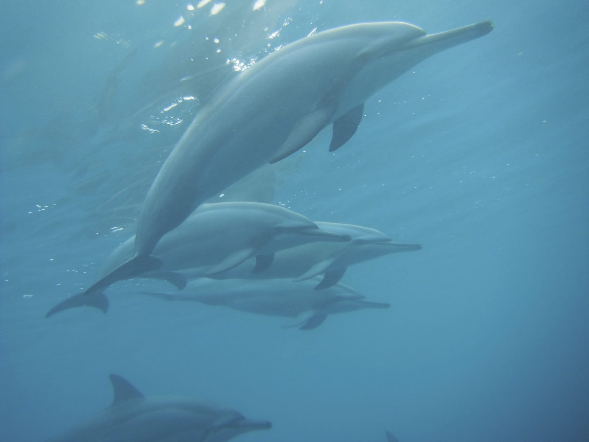 IOZ_MAU_20180810_OL_1_10