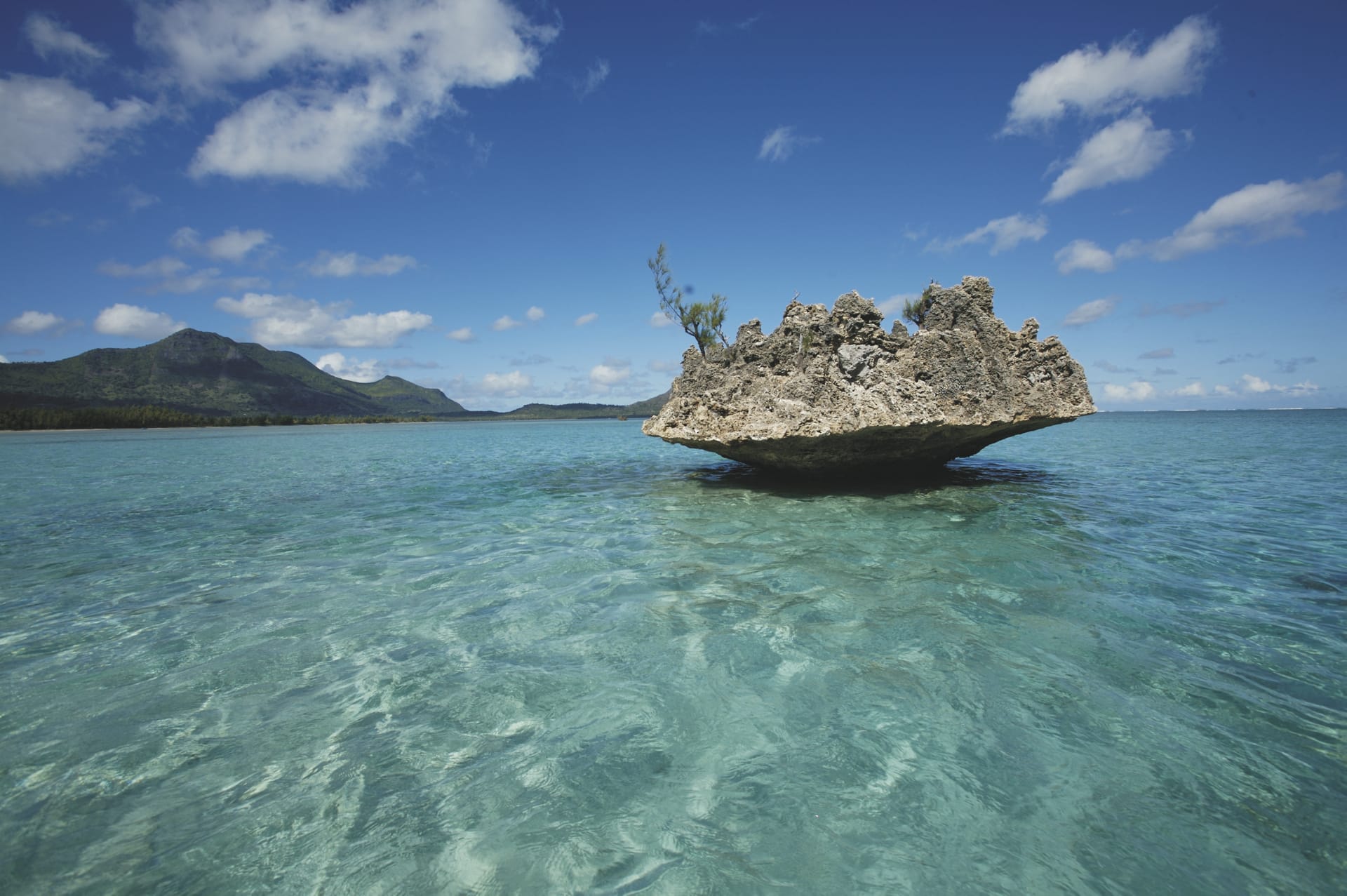 IOZ_MAU_20180810_OL_1_3