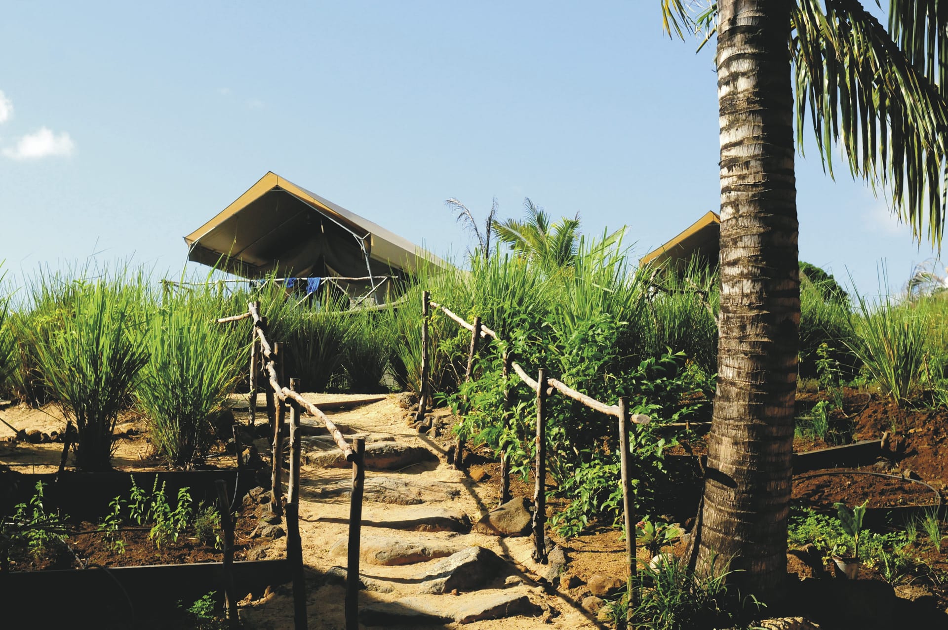 IOZ_MAU_20180811_OL_1_1