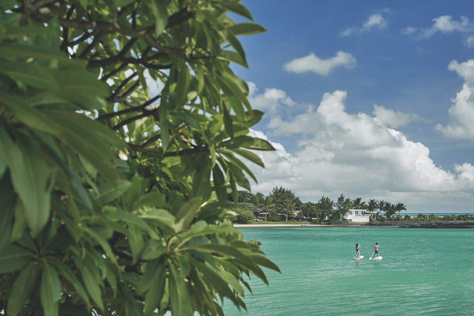 IOZ_MAU_20231017_SWA_7