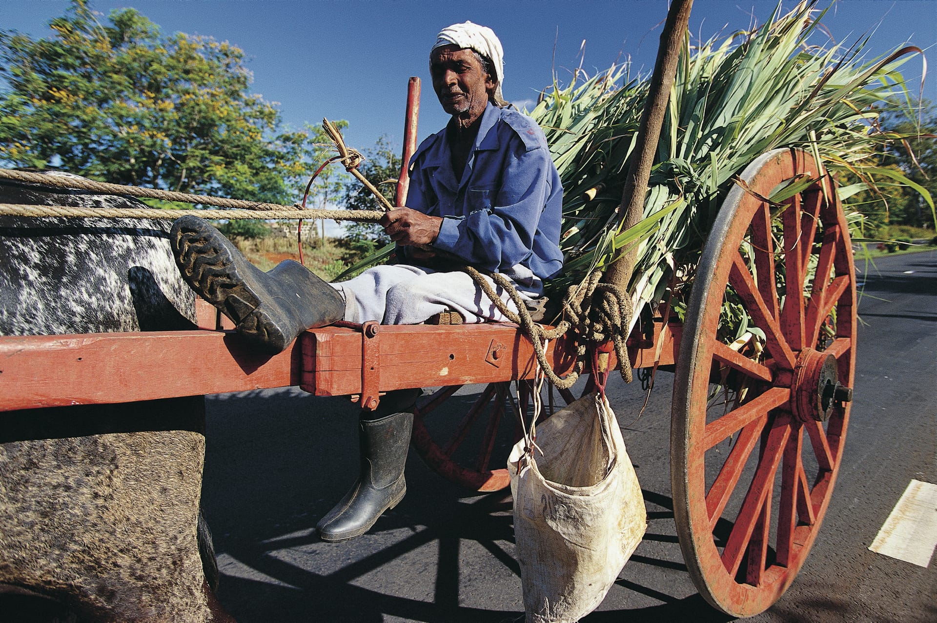 IOZ_MAU_269_20080111_MM