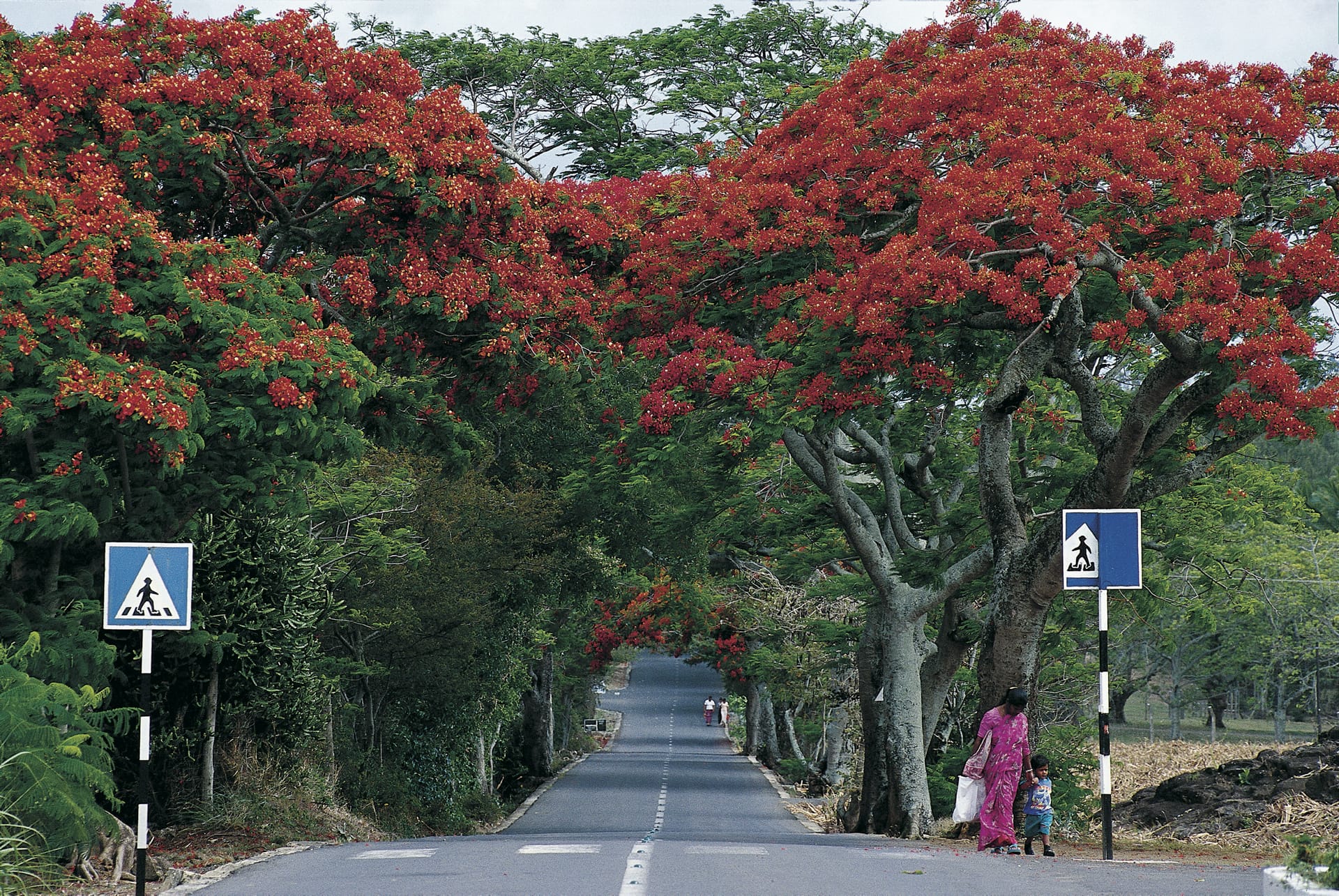 IOZ_MAU_276_20080111_MM