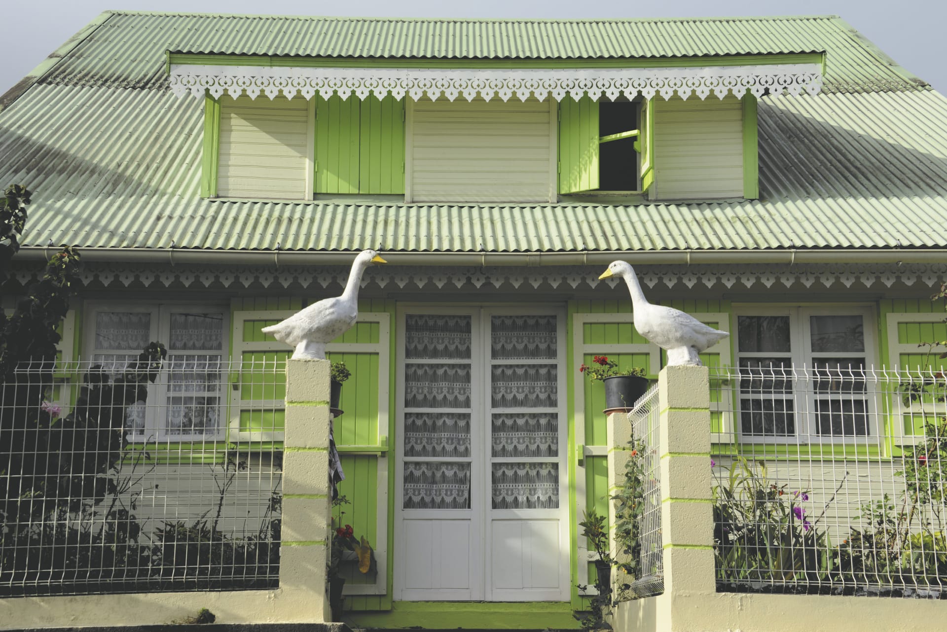 IOZ_REU_003_20170718_DTT