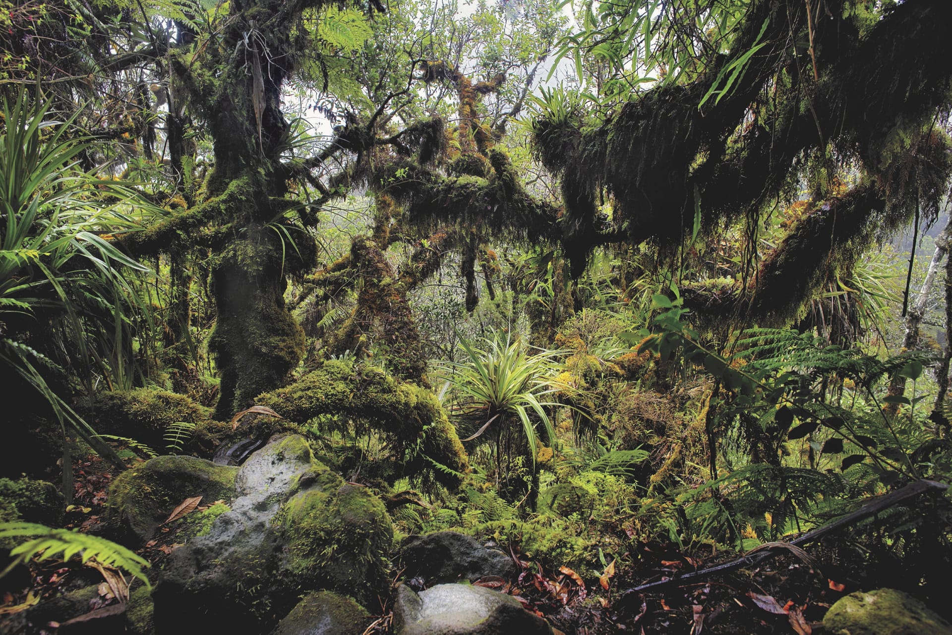 IOZ_REU_007_20130722_DTT