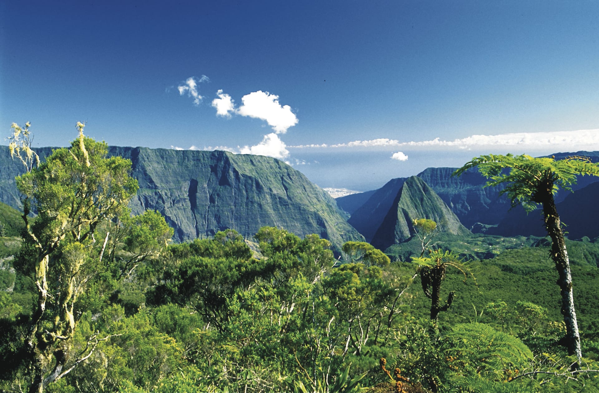 IOZ_REU_1972_20090907_SS