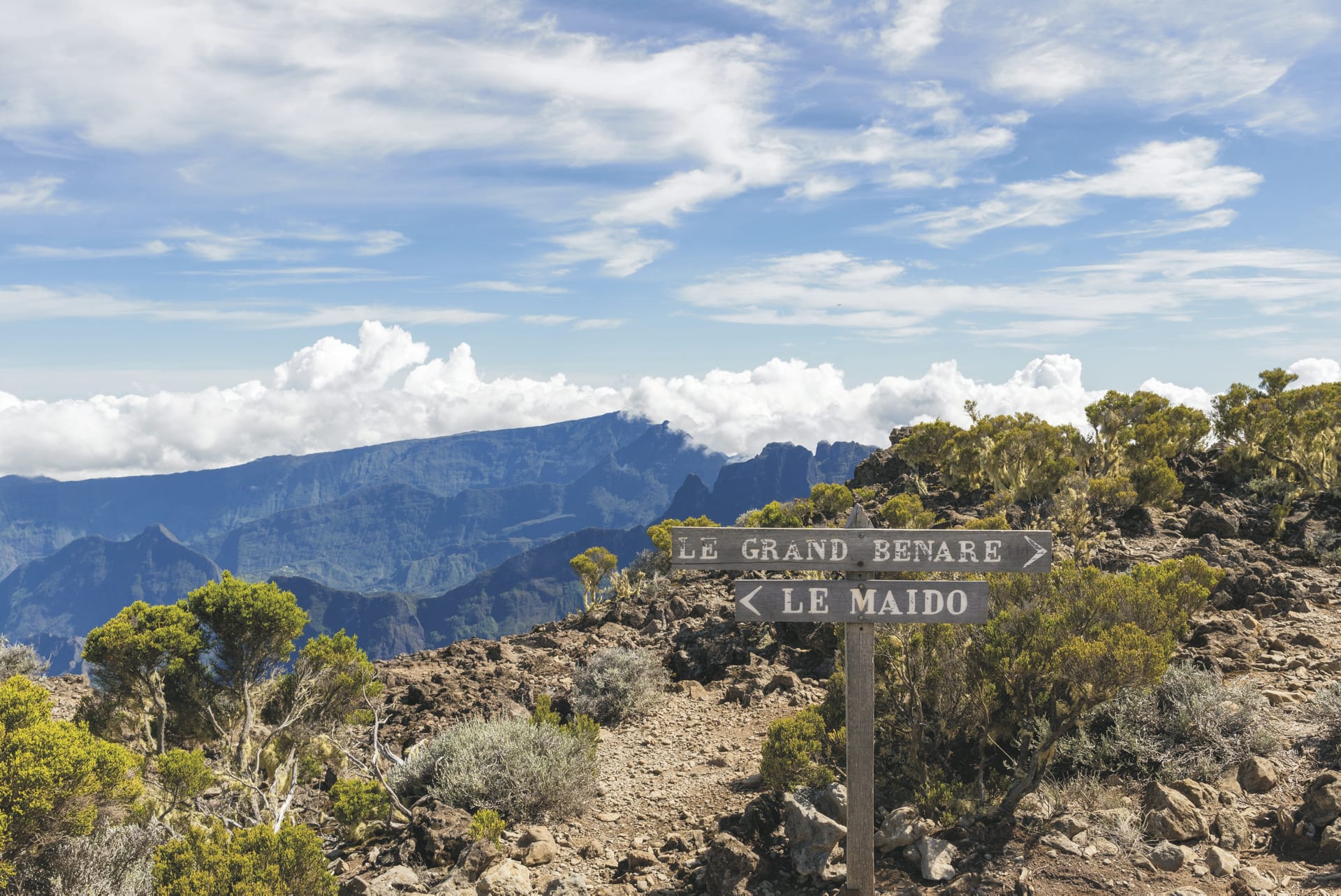 IOZ_REU_20180721_CJ_13