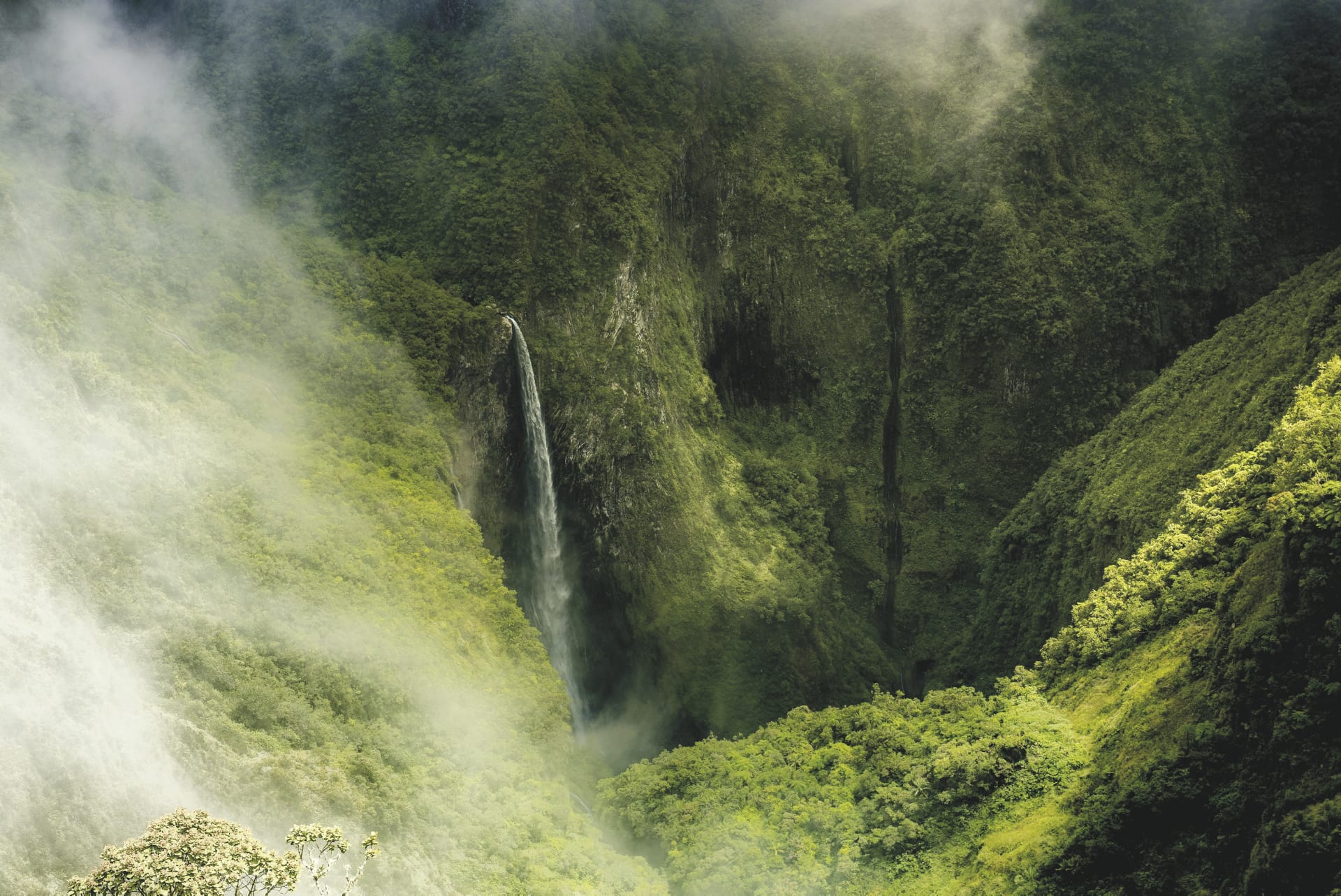 IOZ_REU_20180721_CJ_9