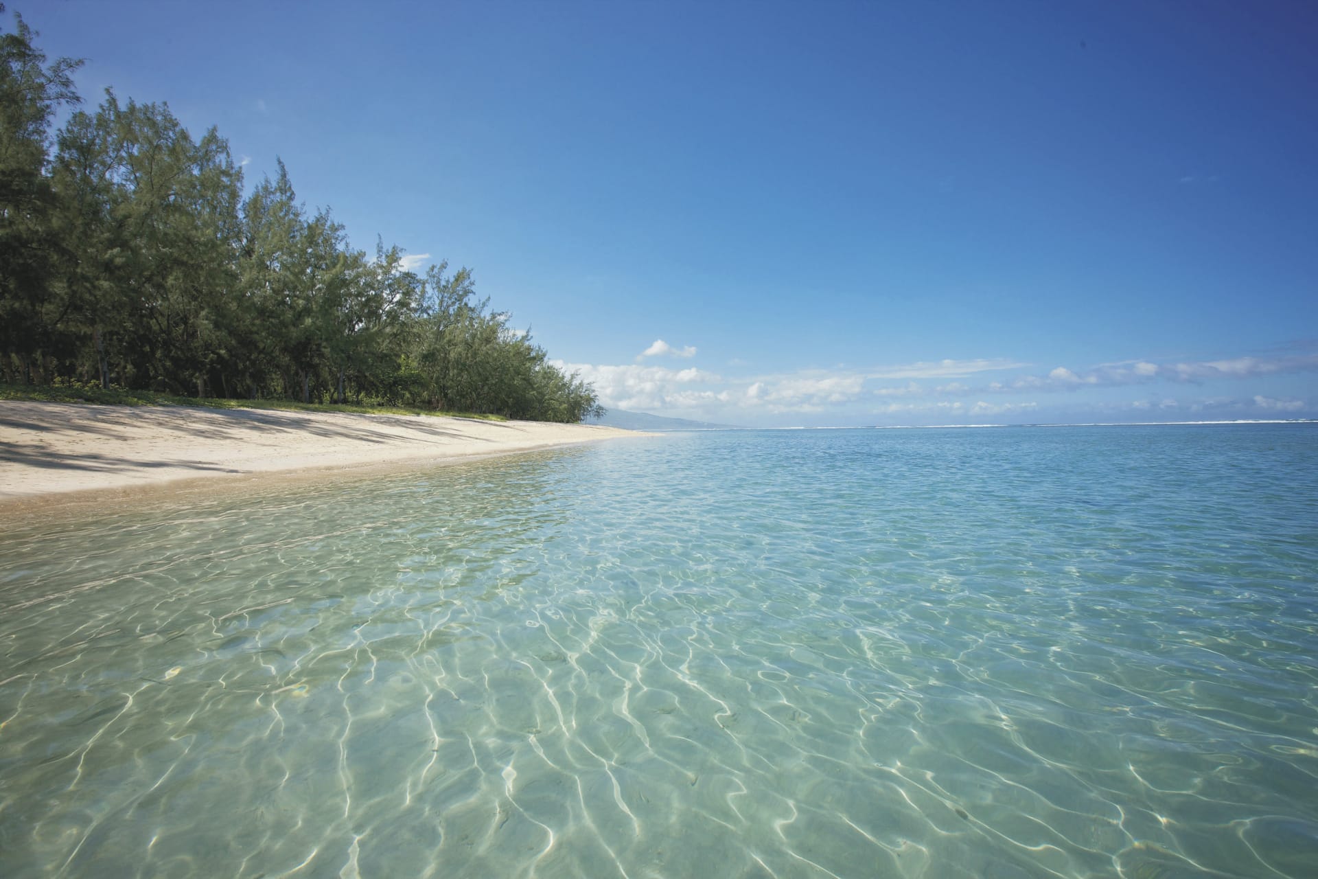 IOZ_REU_20200228_SWA_16