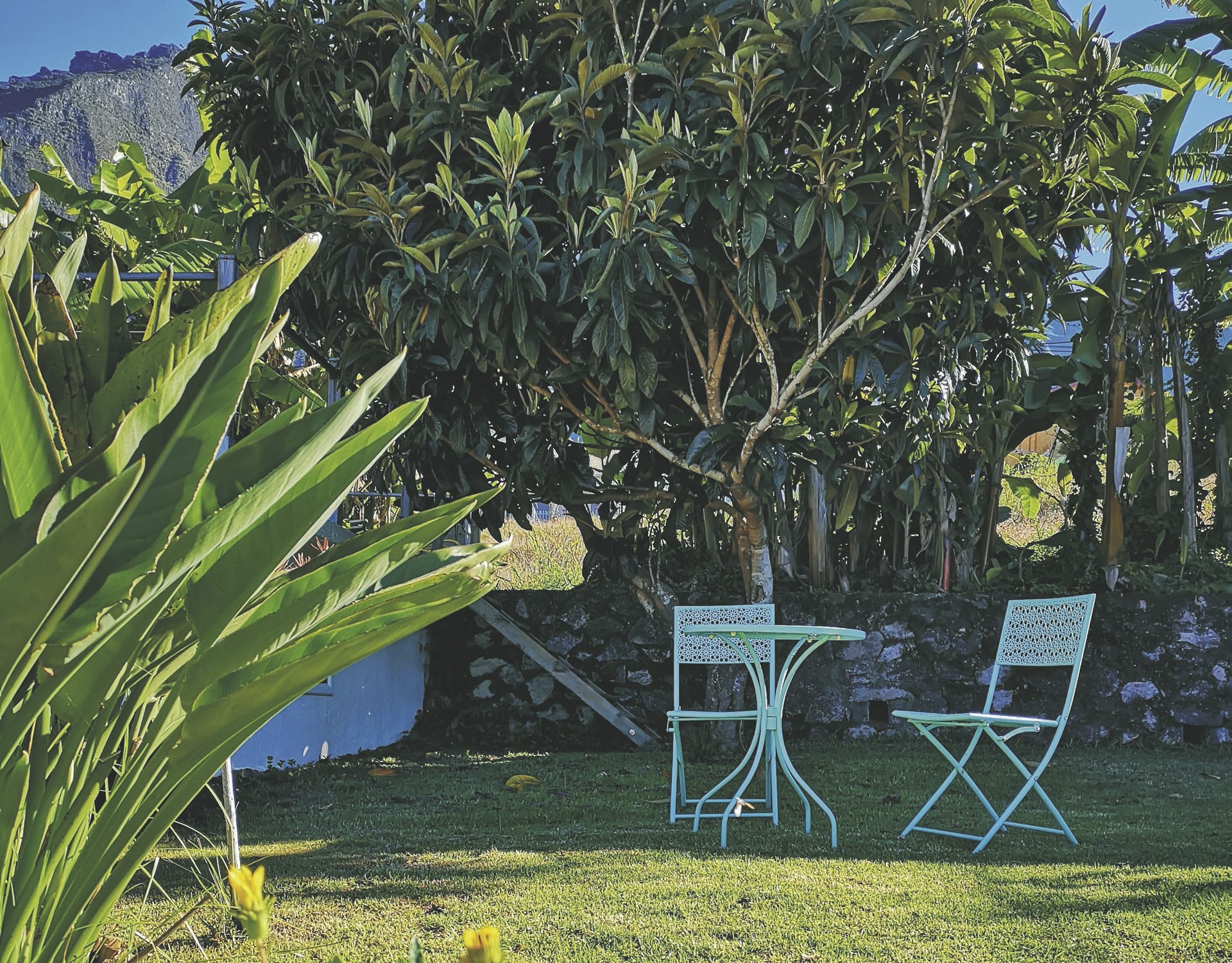 IOZ_REU_20200310_SWA_2_1