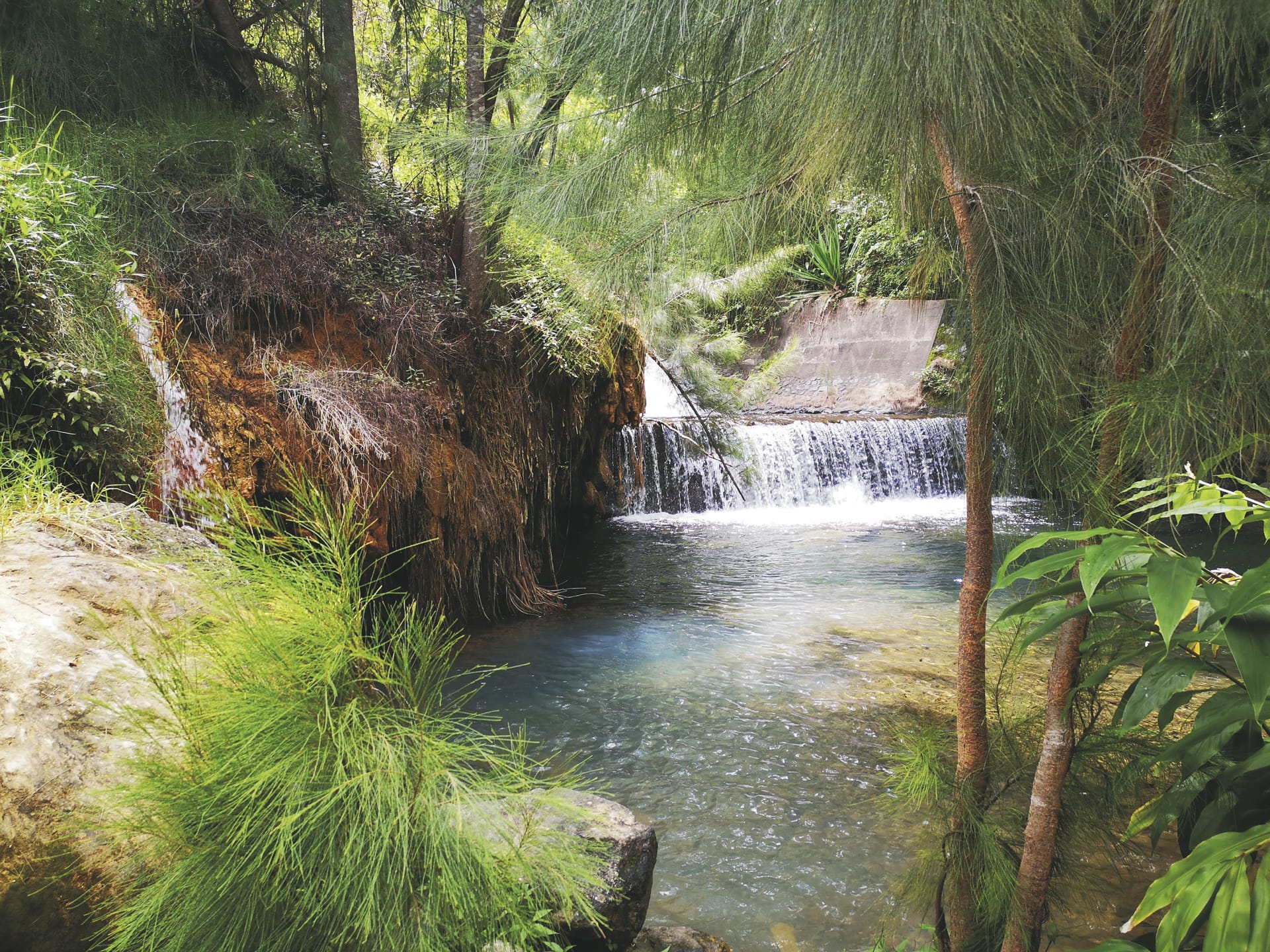 IOZ_REU_20200310_SWA_6