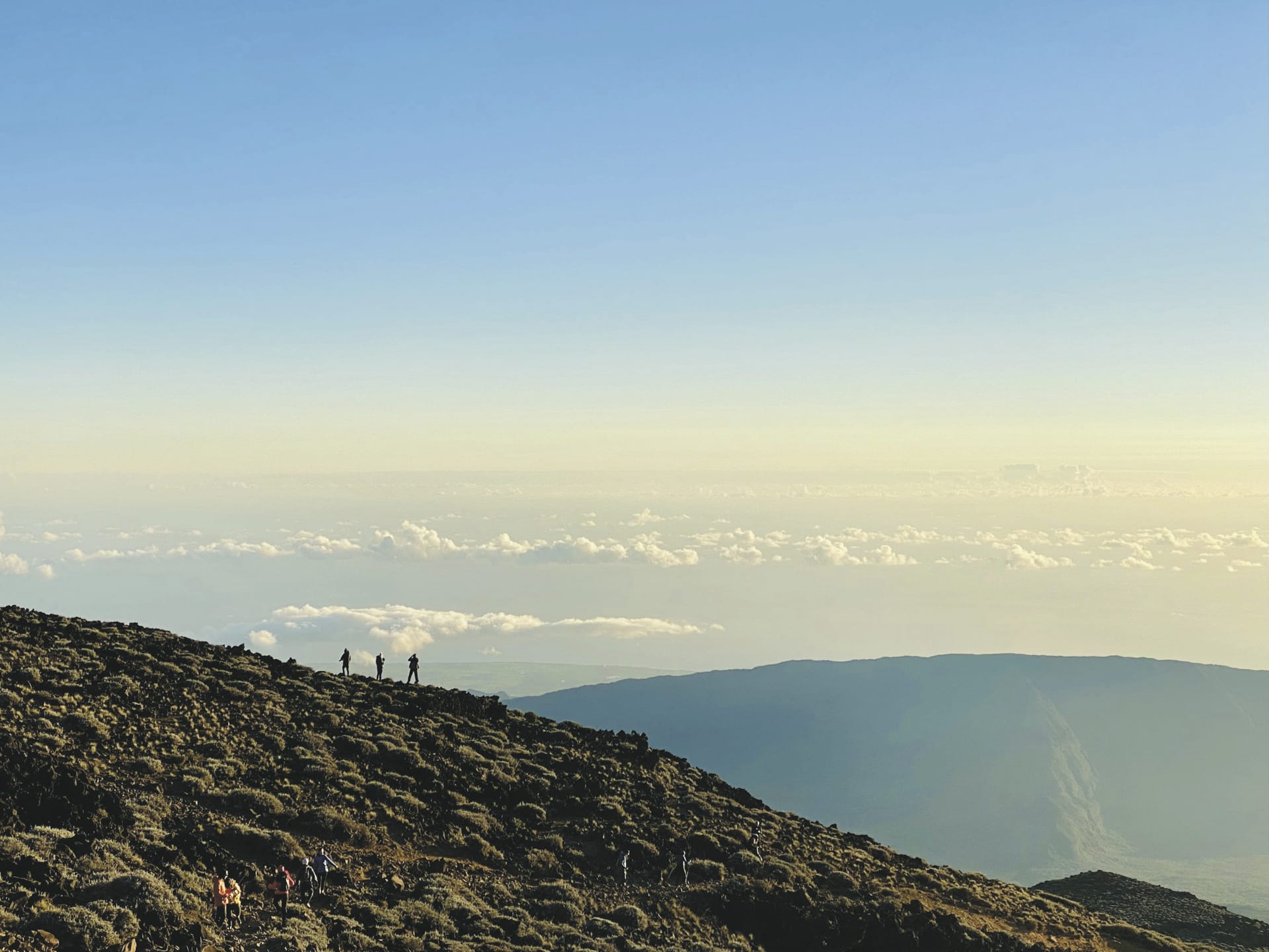 IOZ_REU_20230428_SWA_5