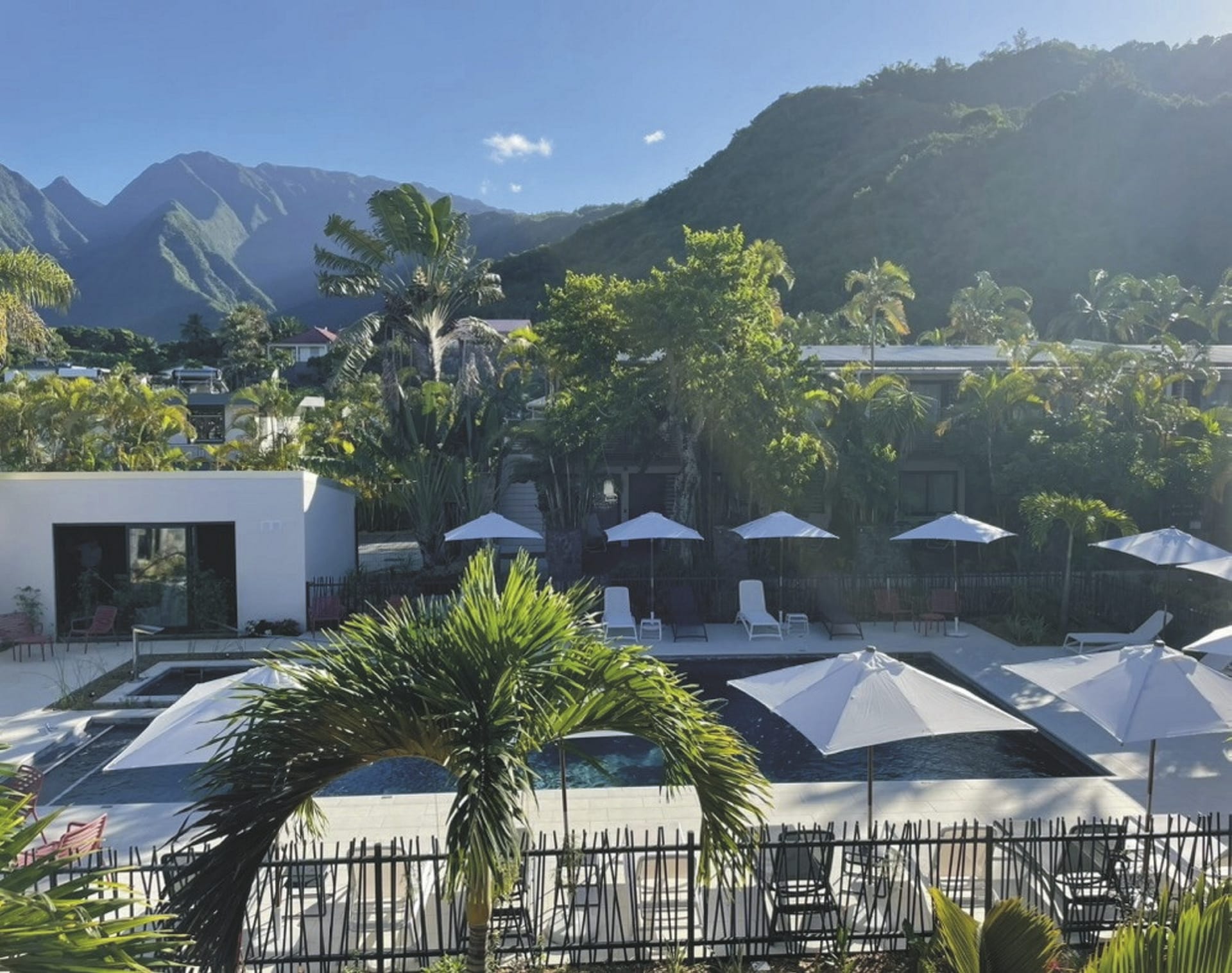 IOZ_REU_20240606_SWA_6