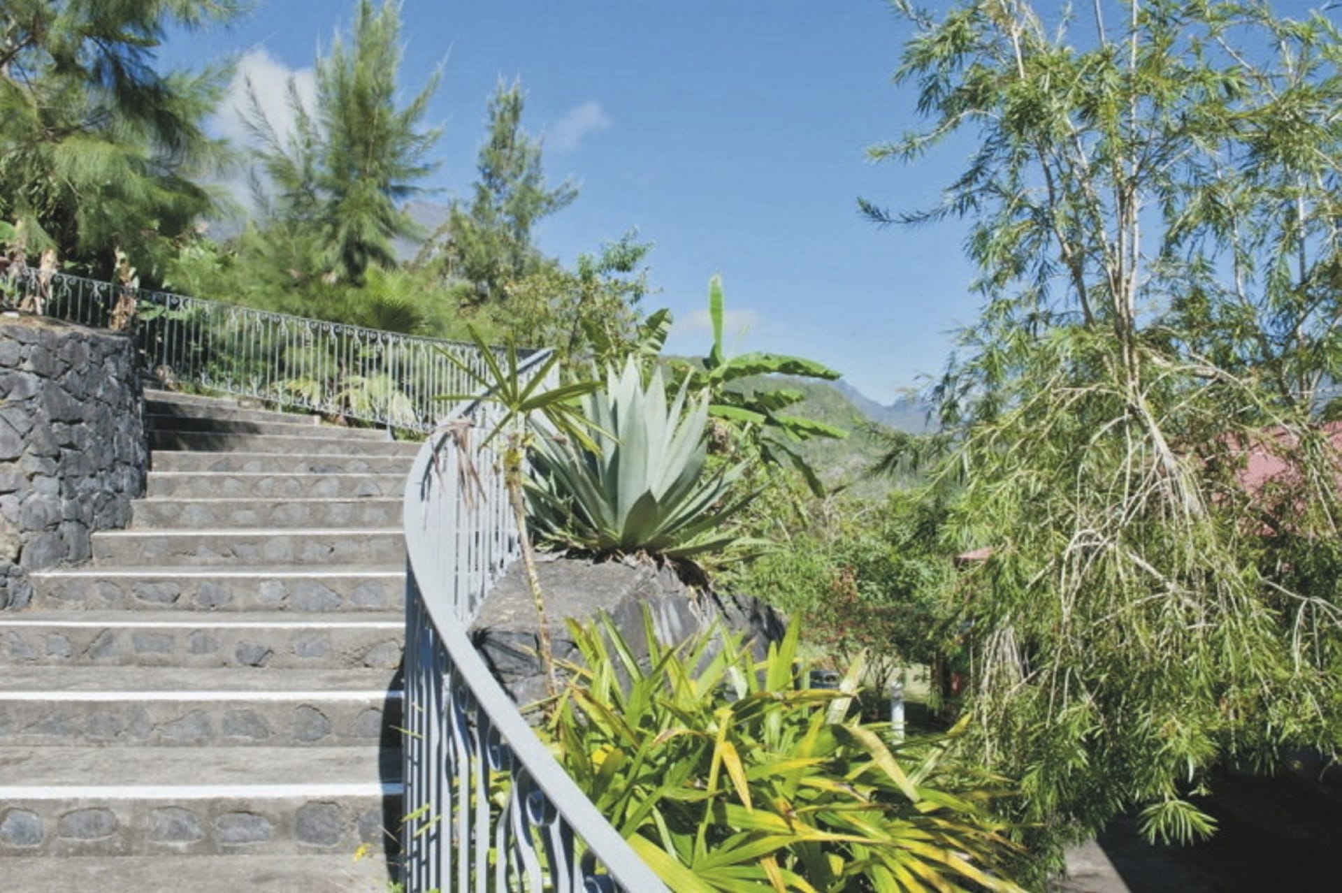 IOZ_REU_20240819_SWA_1