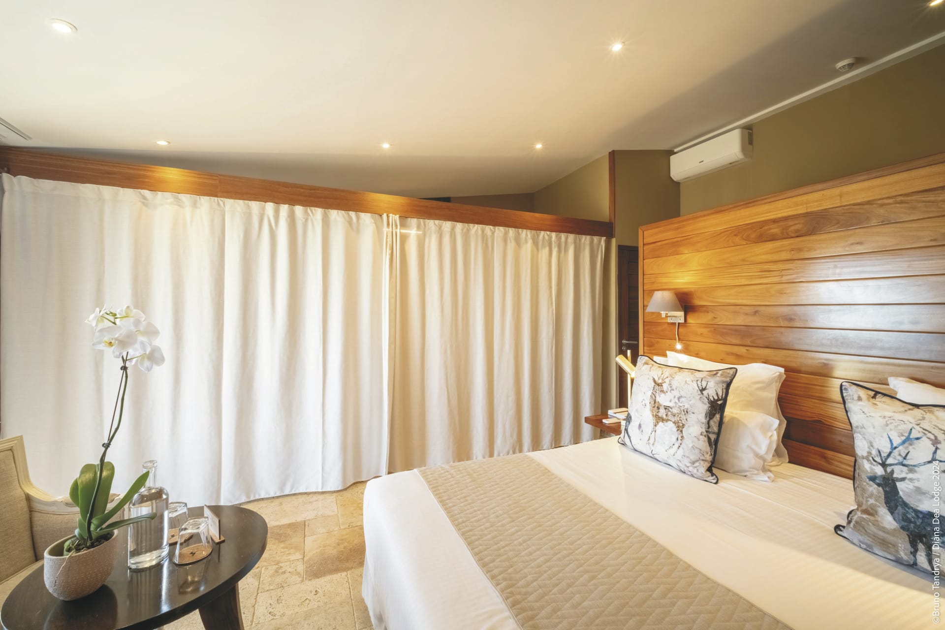 IOZ_REU_20240822_SWA_13