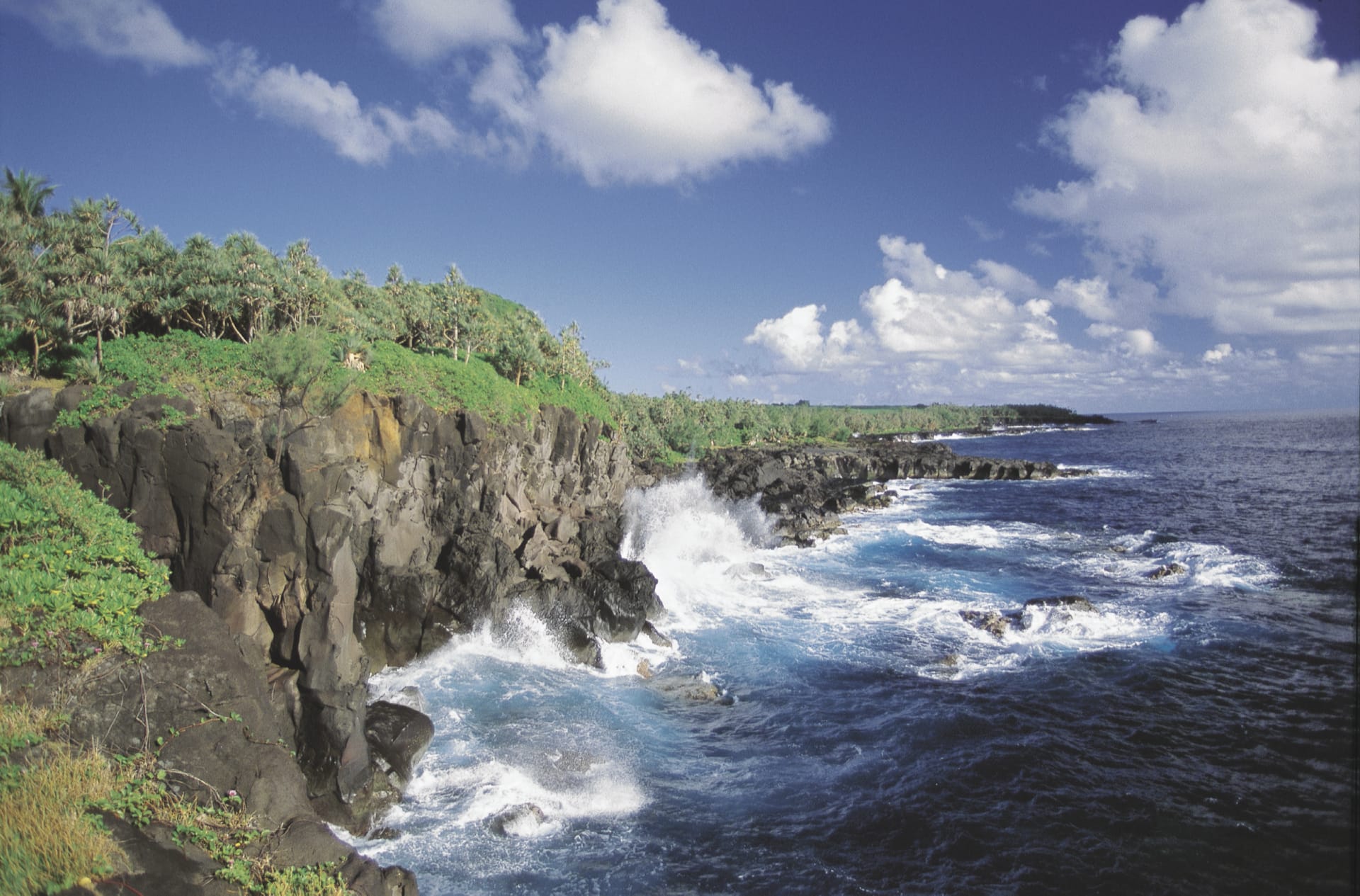 IOZ_REU_280_20080110_MM