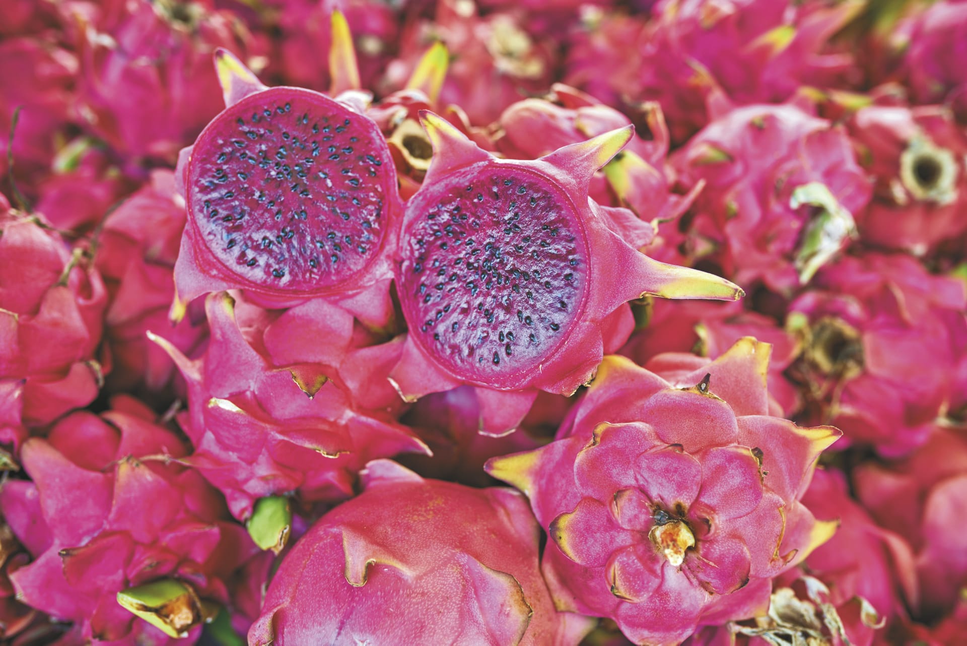 IOZ_RE_002_20181126_KA