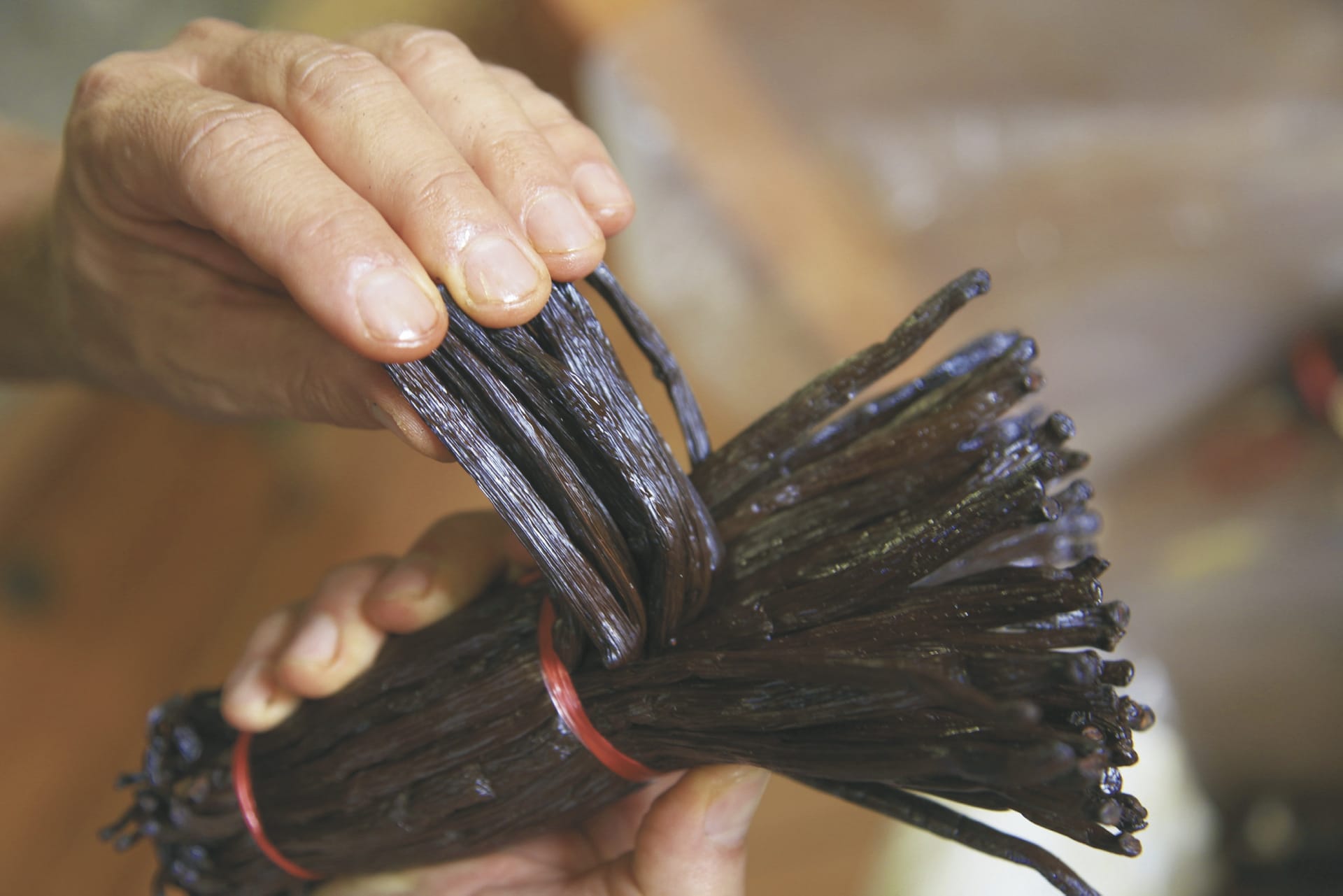 IOZ_RE_187_20160811_KA