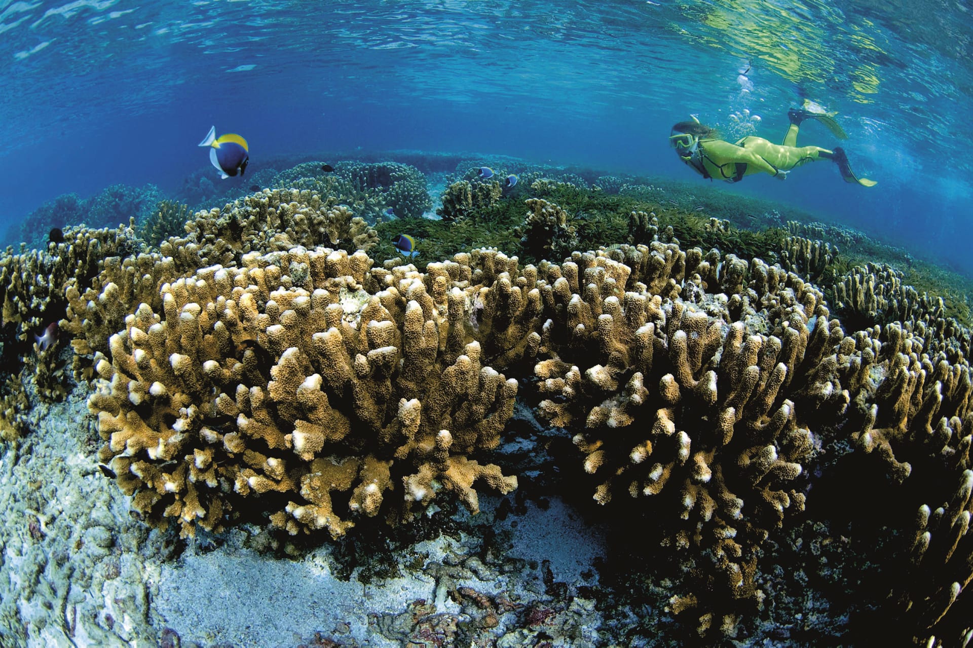 IOZ_SEY_027_20170714_OL