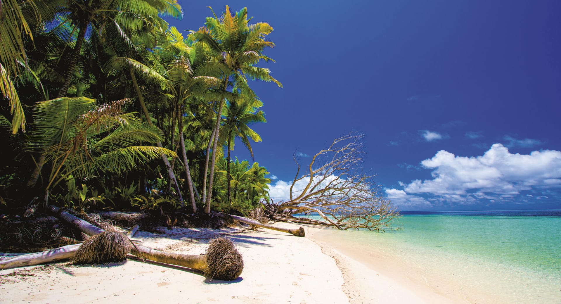 IOZ_SEY_028_20170714_OL