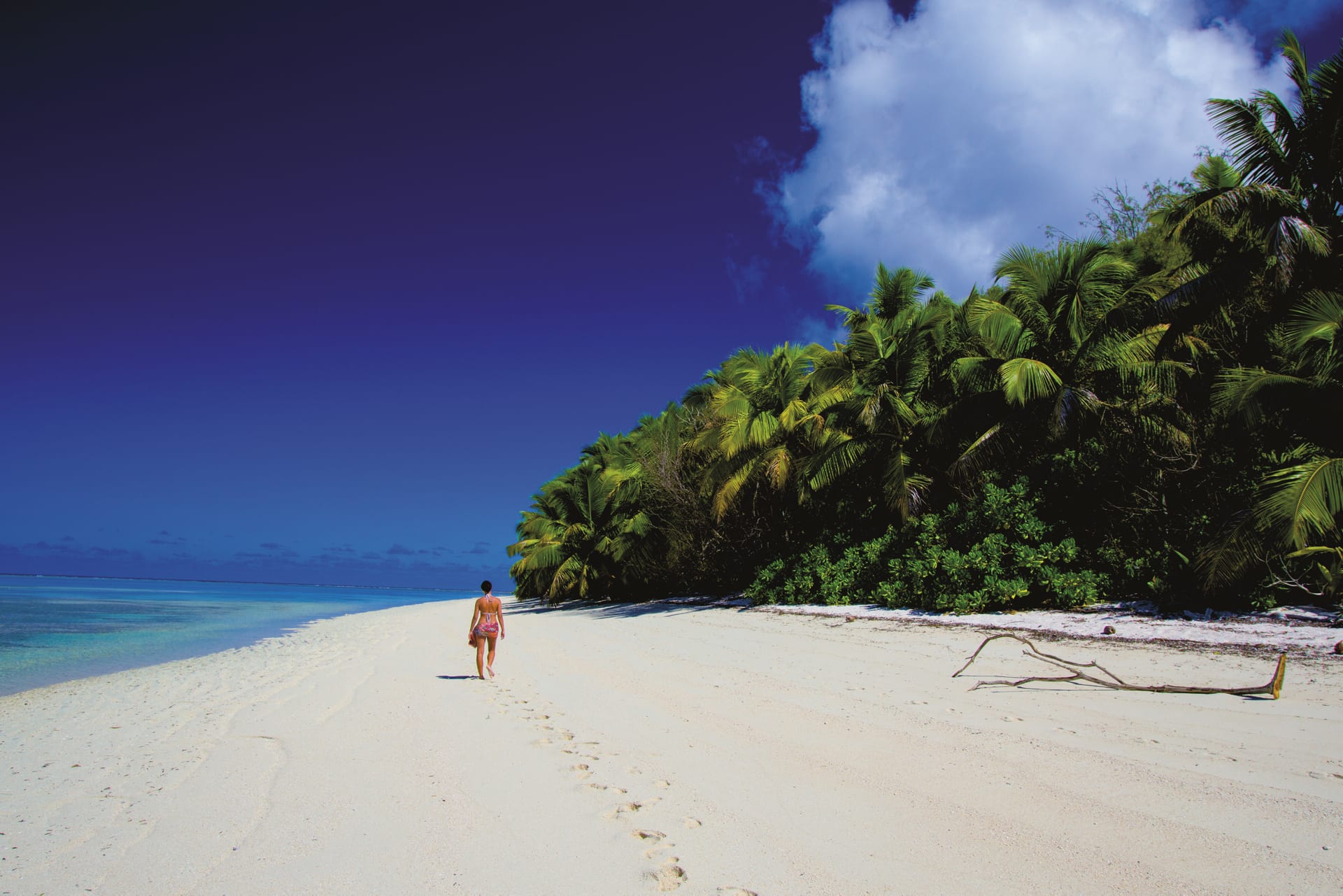 IOZ_SEY_032_20170714_OL