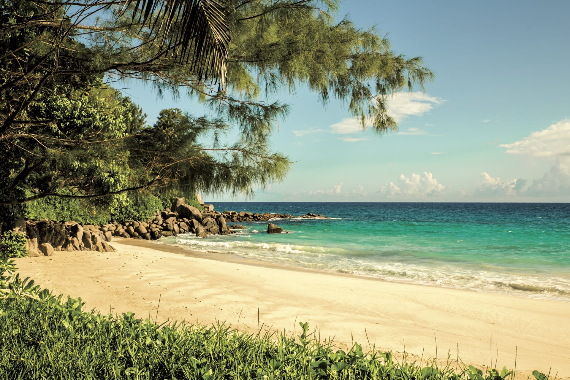 IOZ_SEY_033_20150715_DTT