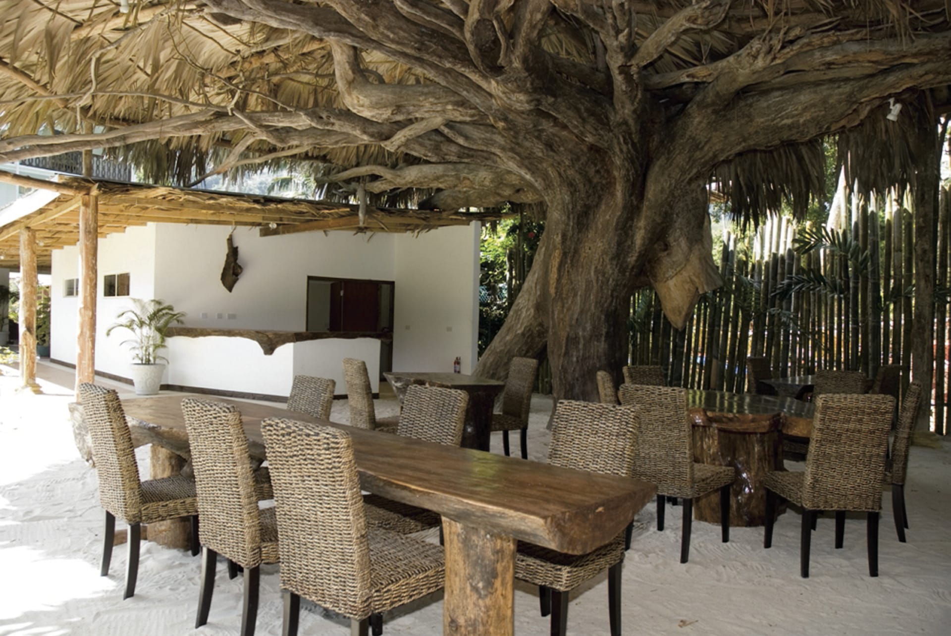 IOZ_SEY_036_20100712_SS