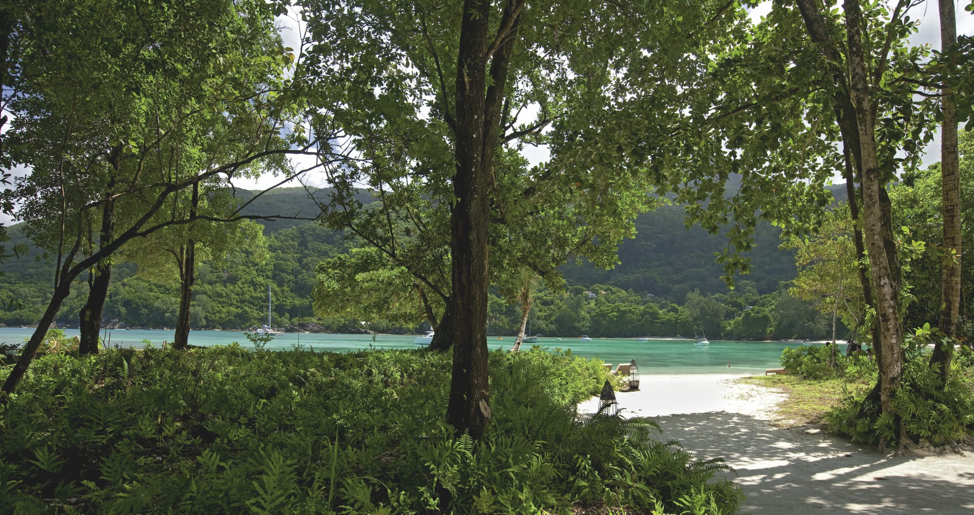 IOZ_SEY_039_20170627_OL