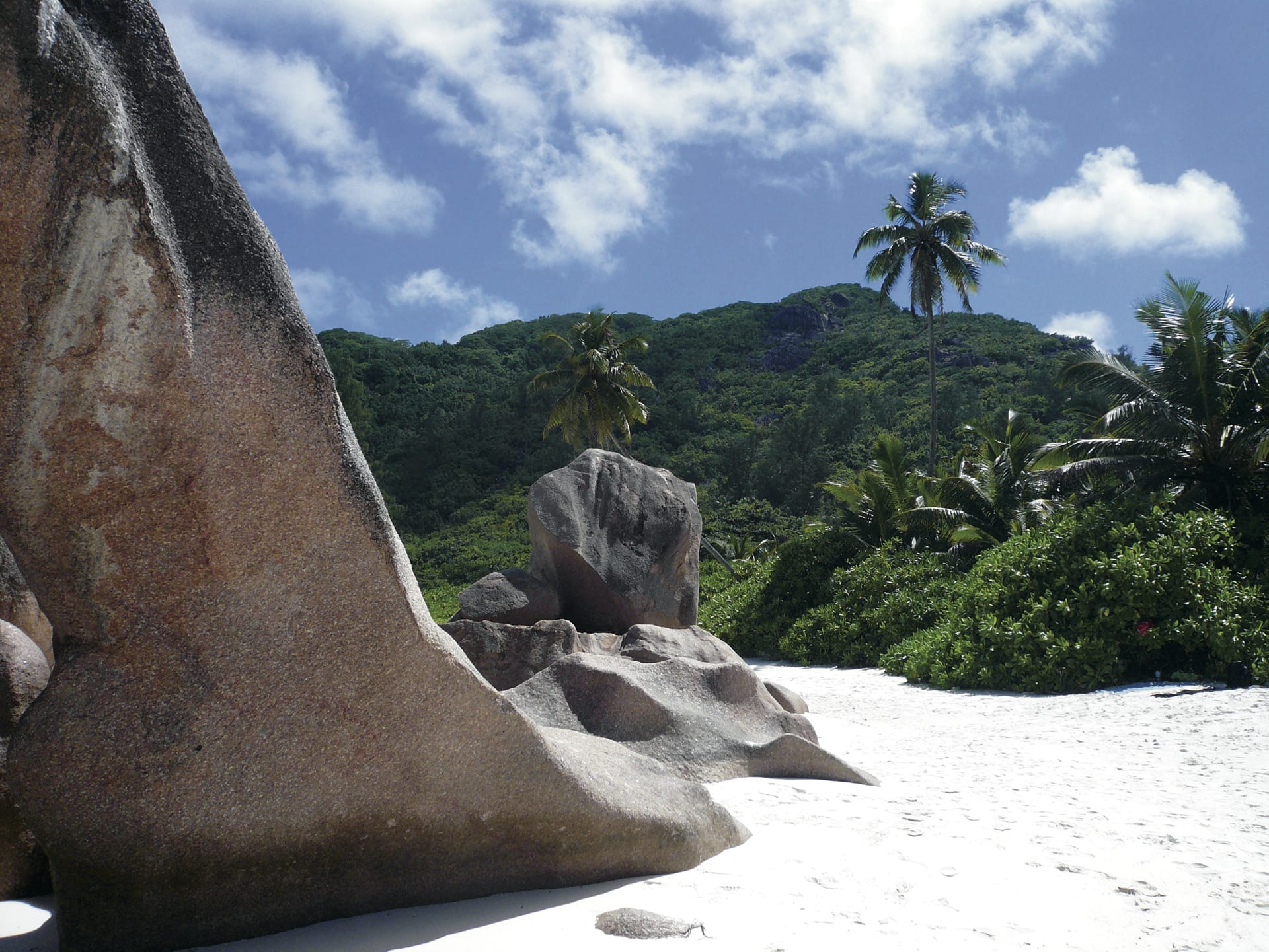 IOZ_SEY_062_20110617_ss