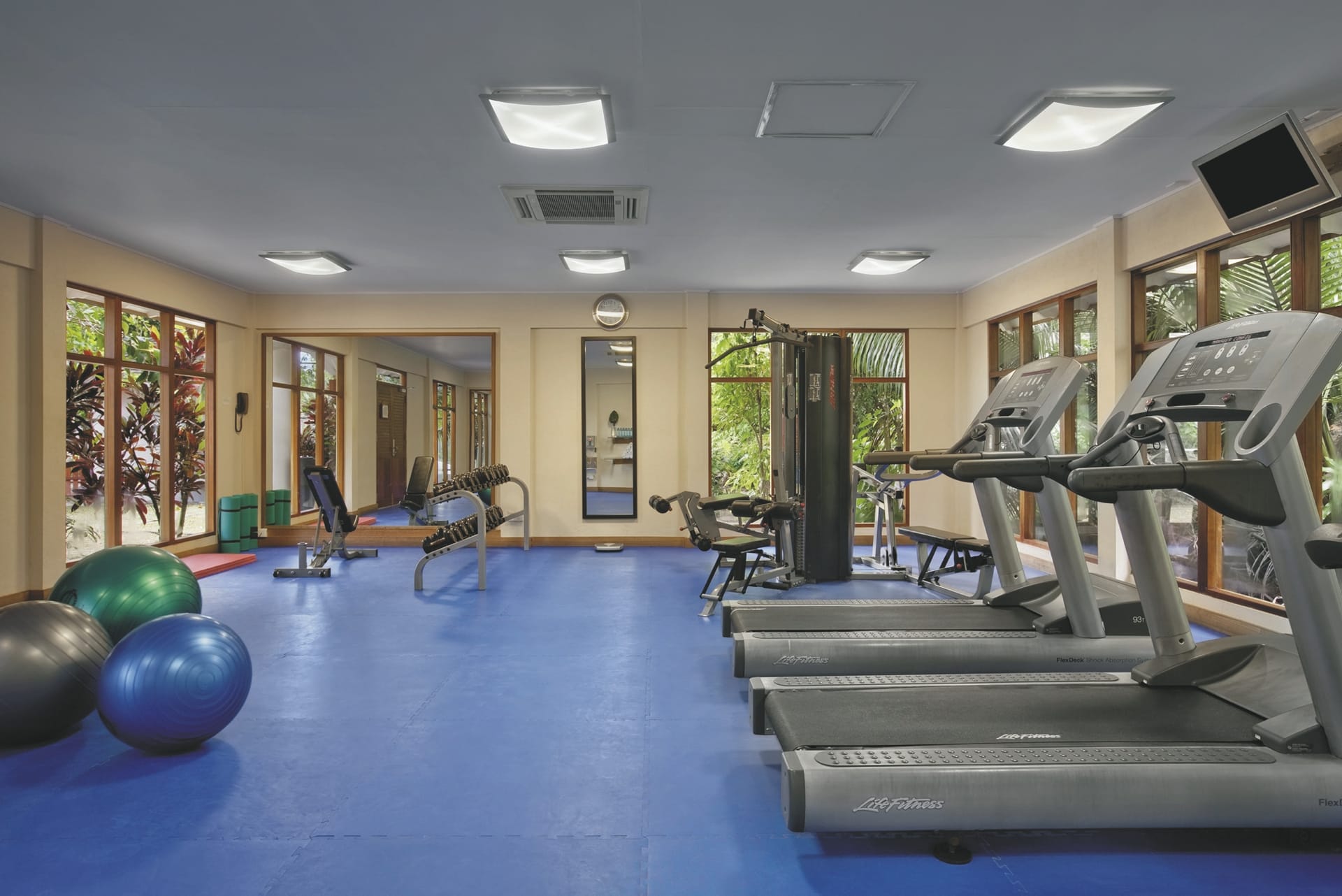 IOZ_SEY_20180731_OL_2_20