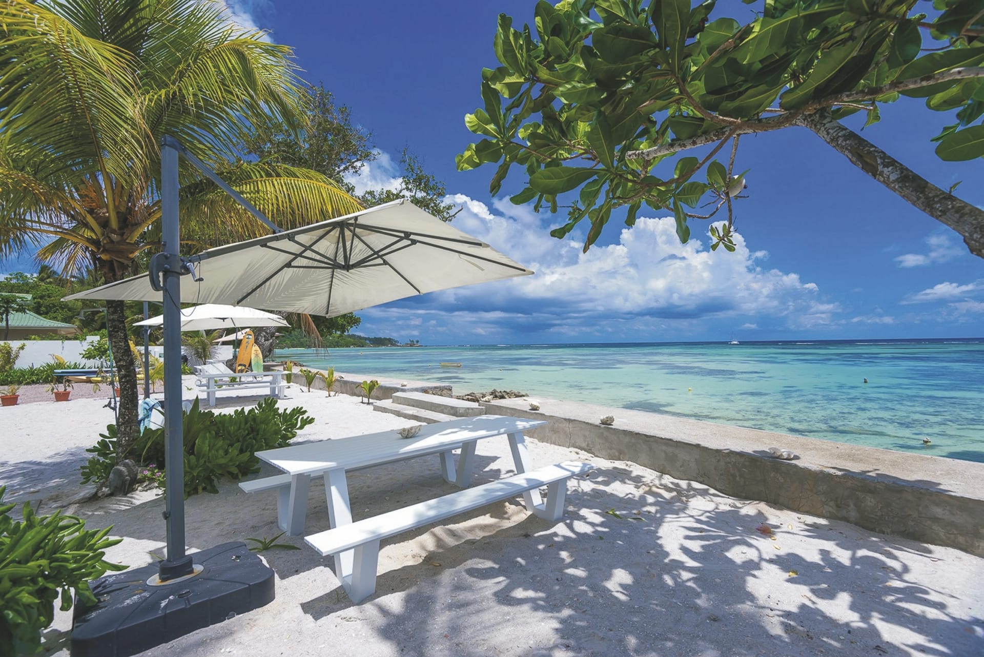 IOZ_SEY_20180803_OL_1_7