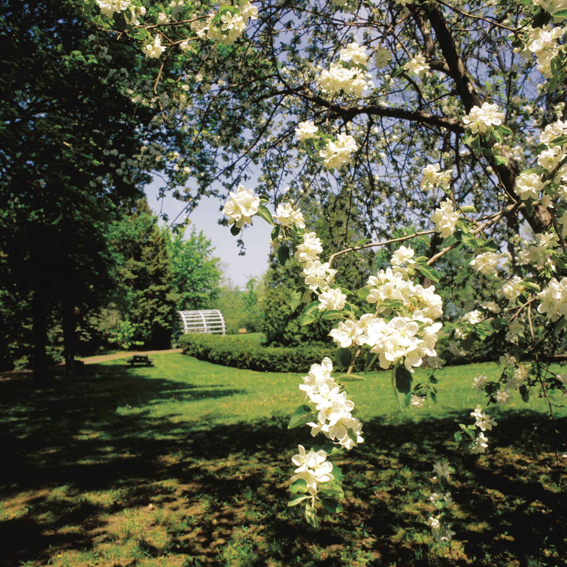 KAN_DIV_002_20170912_ss