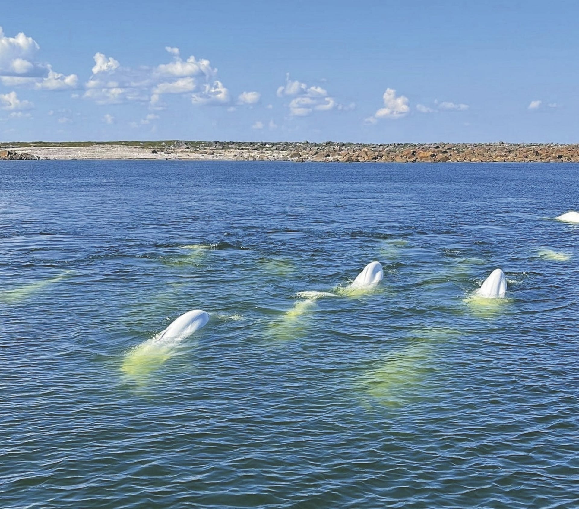 KAN_MB_20221024_JB_4